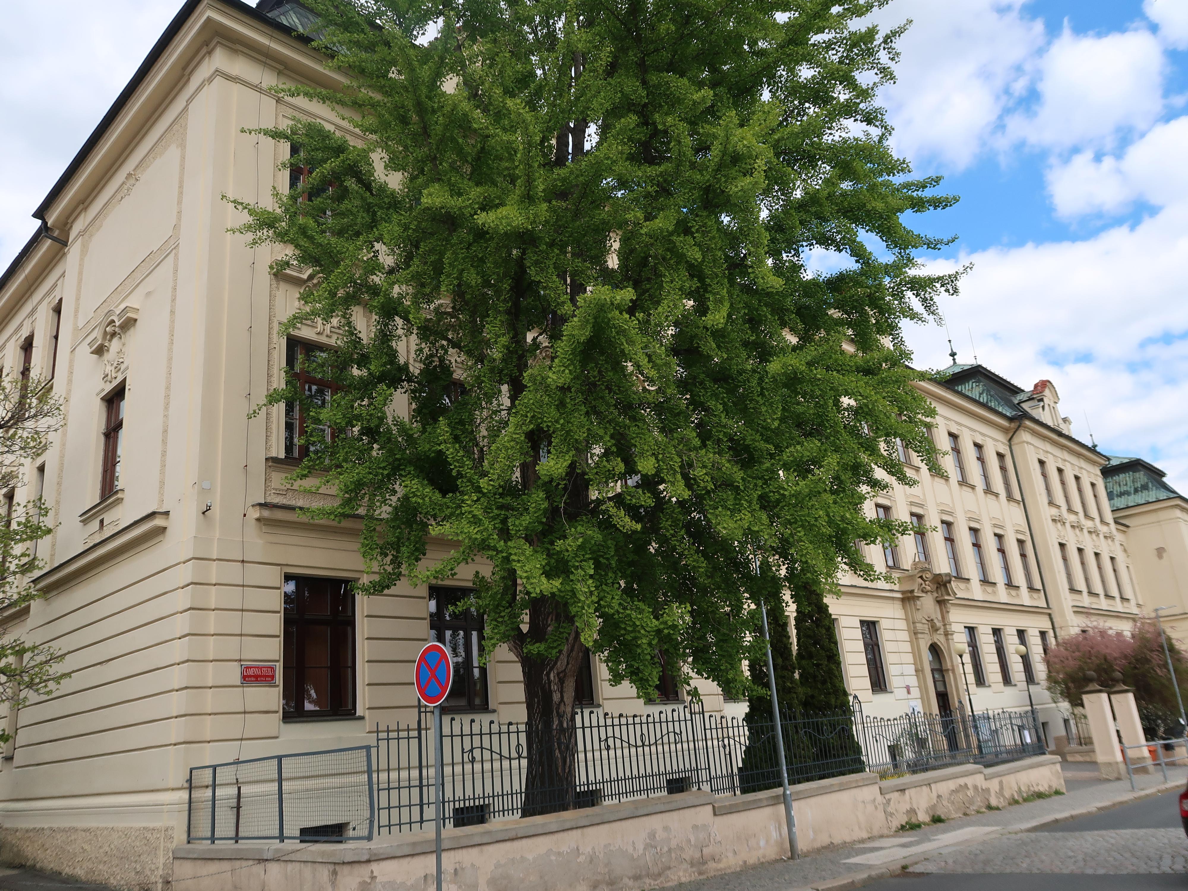 ZŠ Kutná Hora, Kamenná stezka foto 2