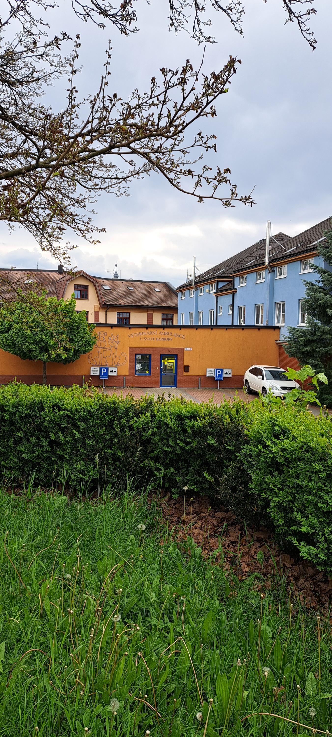 MVDr. Jana Leimerová foto 2