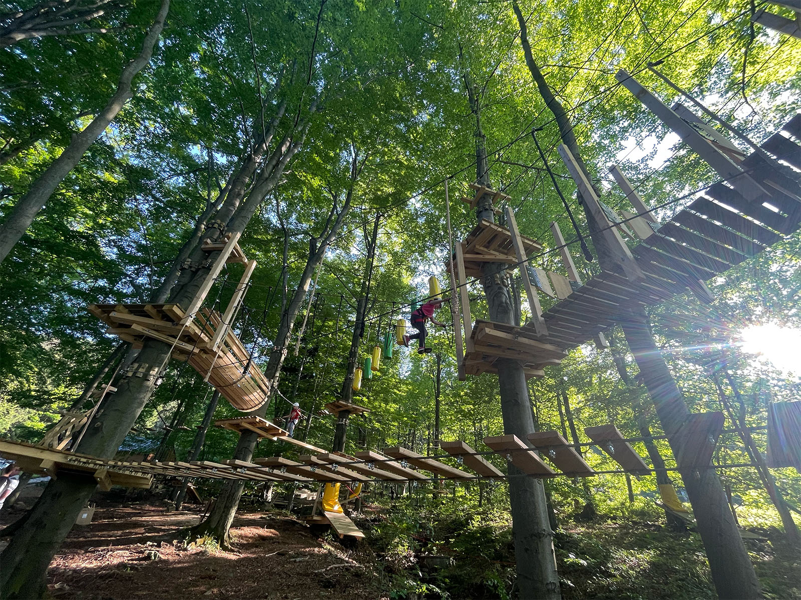 Jednorázový vstup na trasu medvěd Bobo
