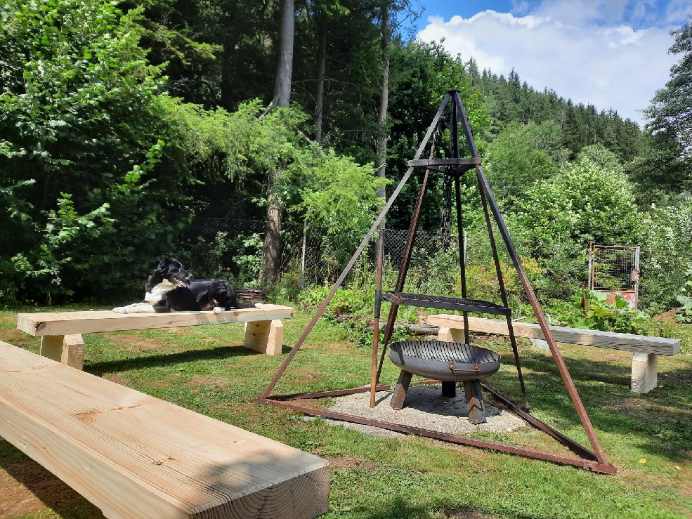 Ubytování Něža foto 2