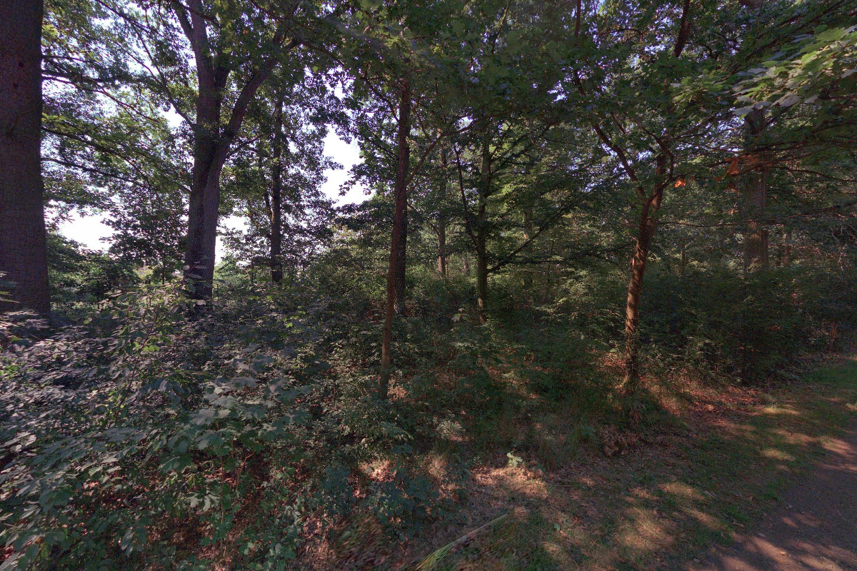 Pionýr - Pionýrská skupina STOPAŘI