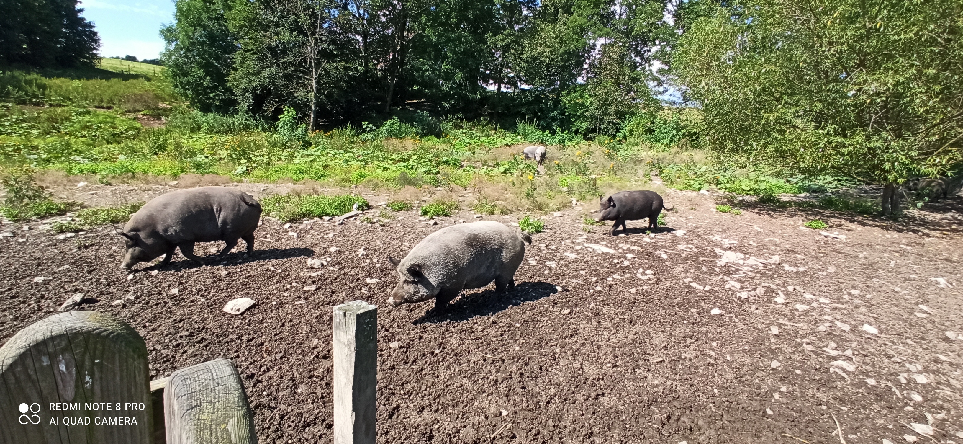 Zoopark Holčovice foto 3