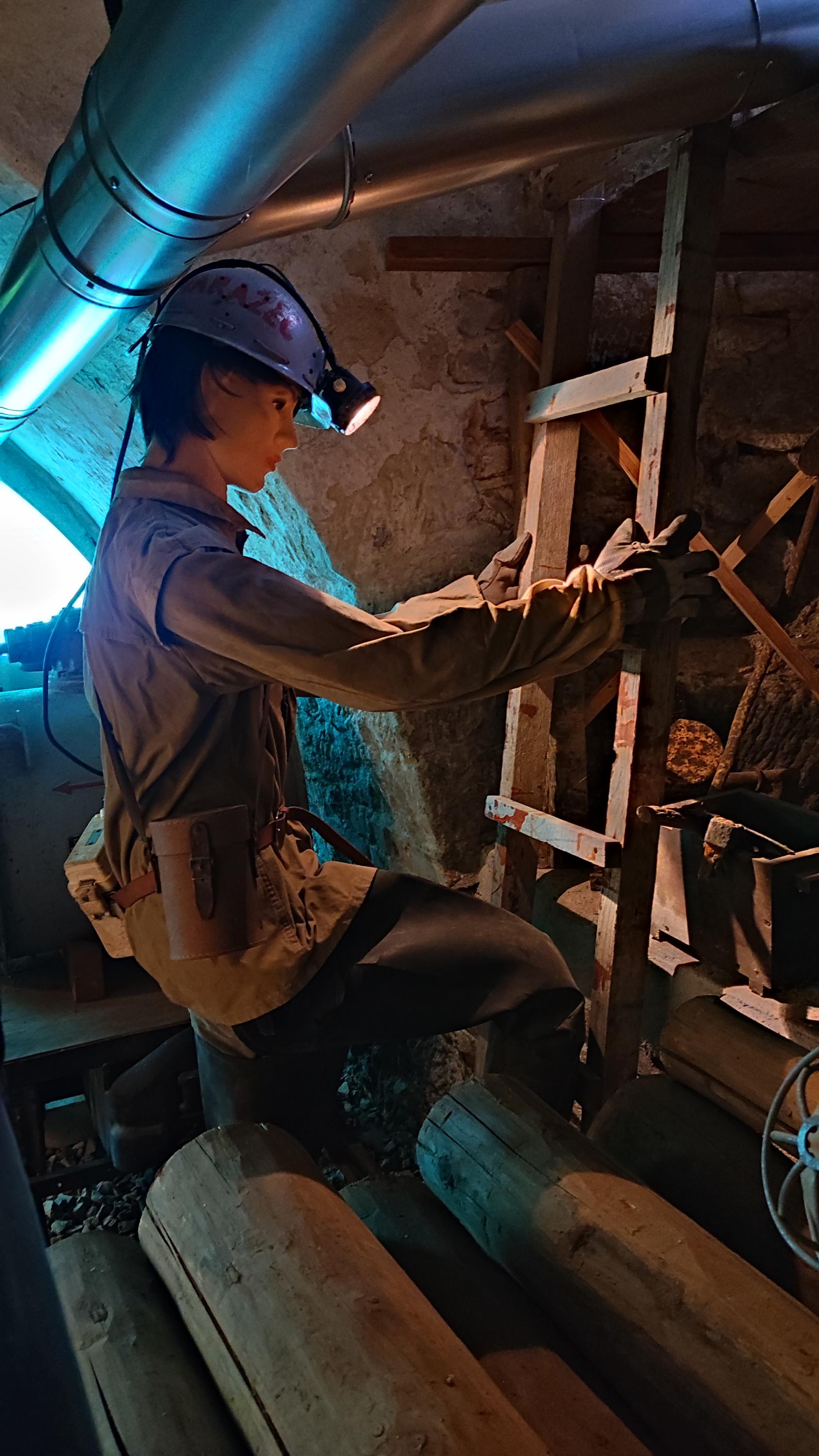 Vlastivědné muzeum a galerie v České Lípě foto 4