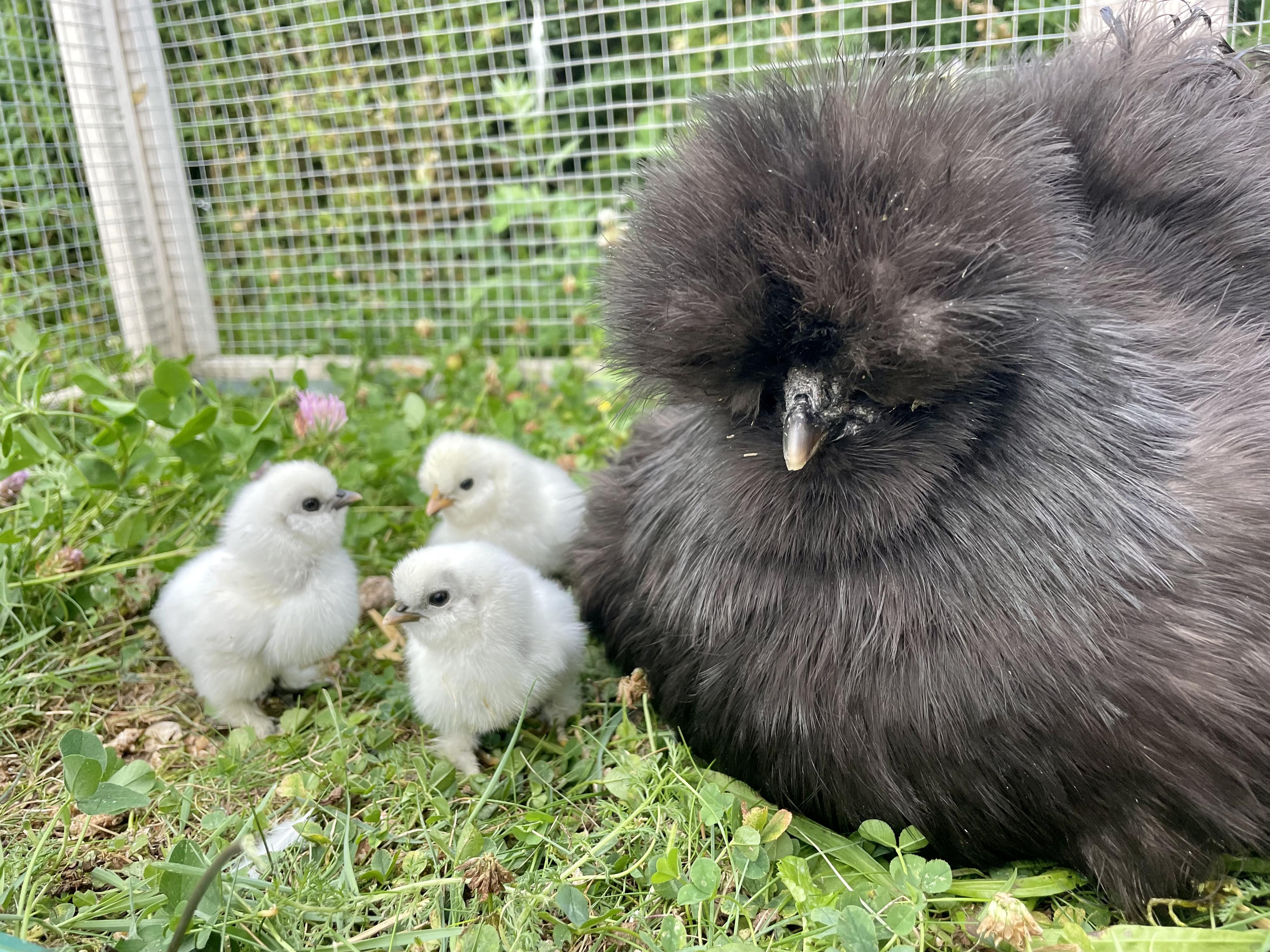 Dětská skupina Pohádka foto 4