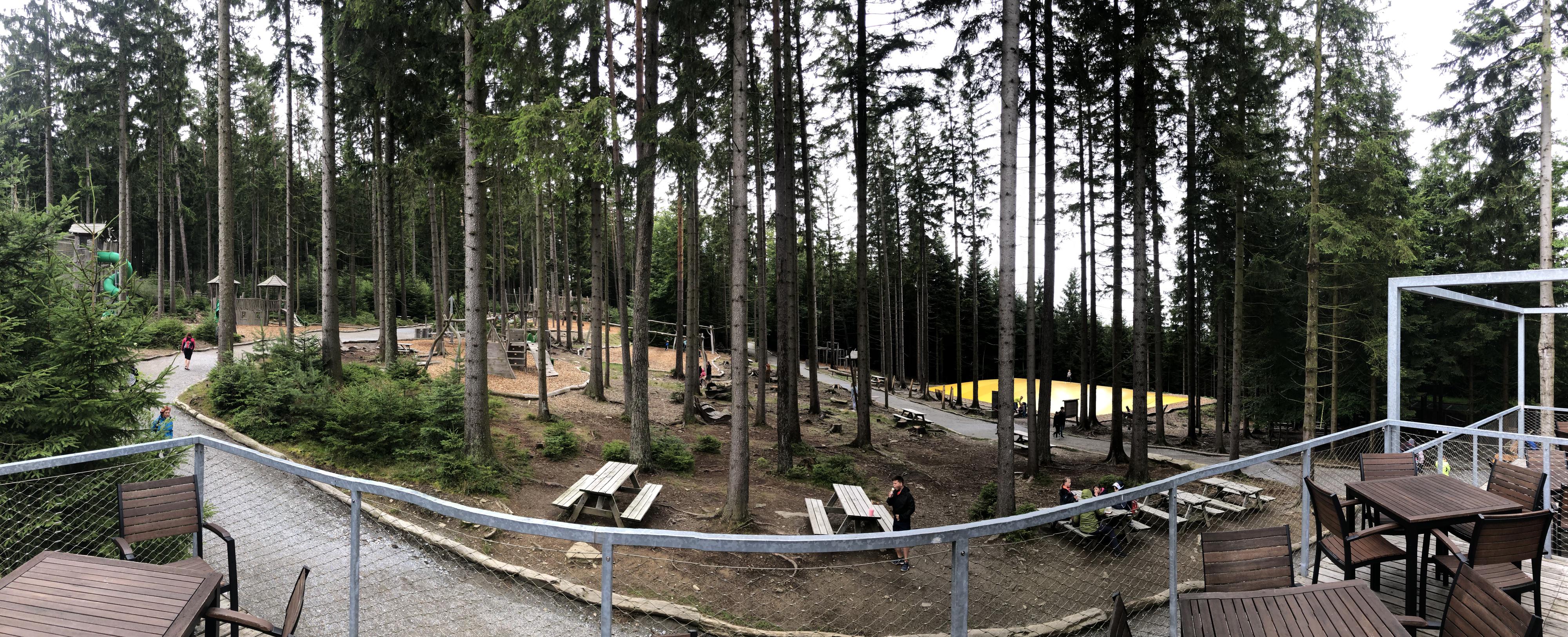 Království lesa Lipno foto 4