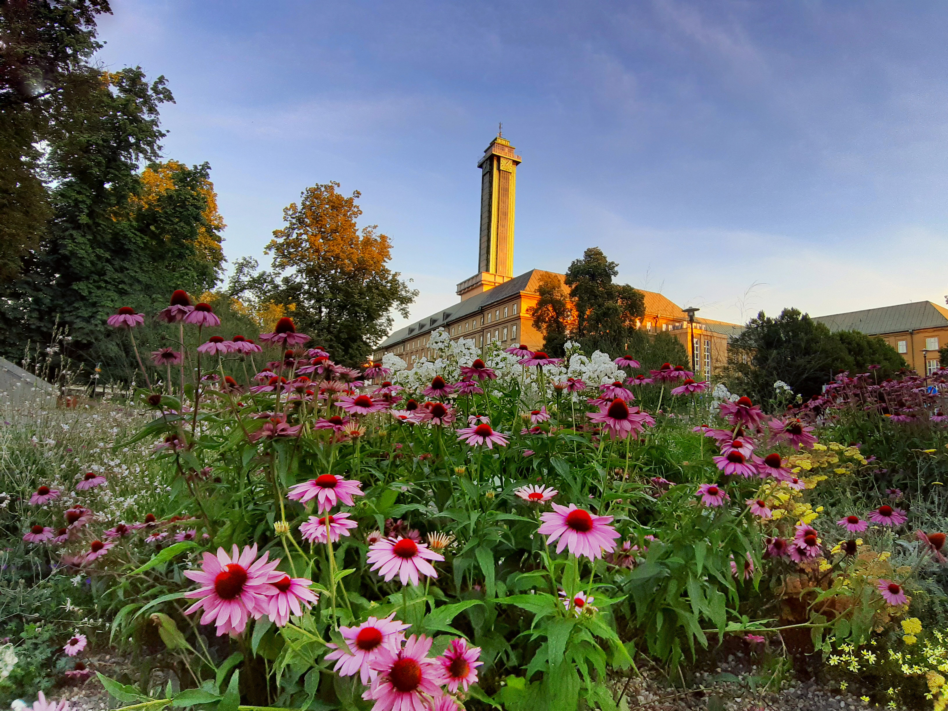 Vyhlídková věž Nové radnice foto 1
