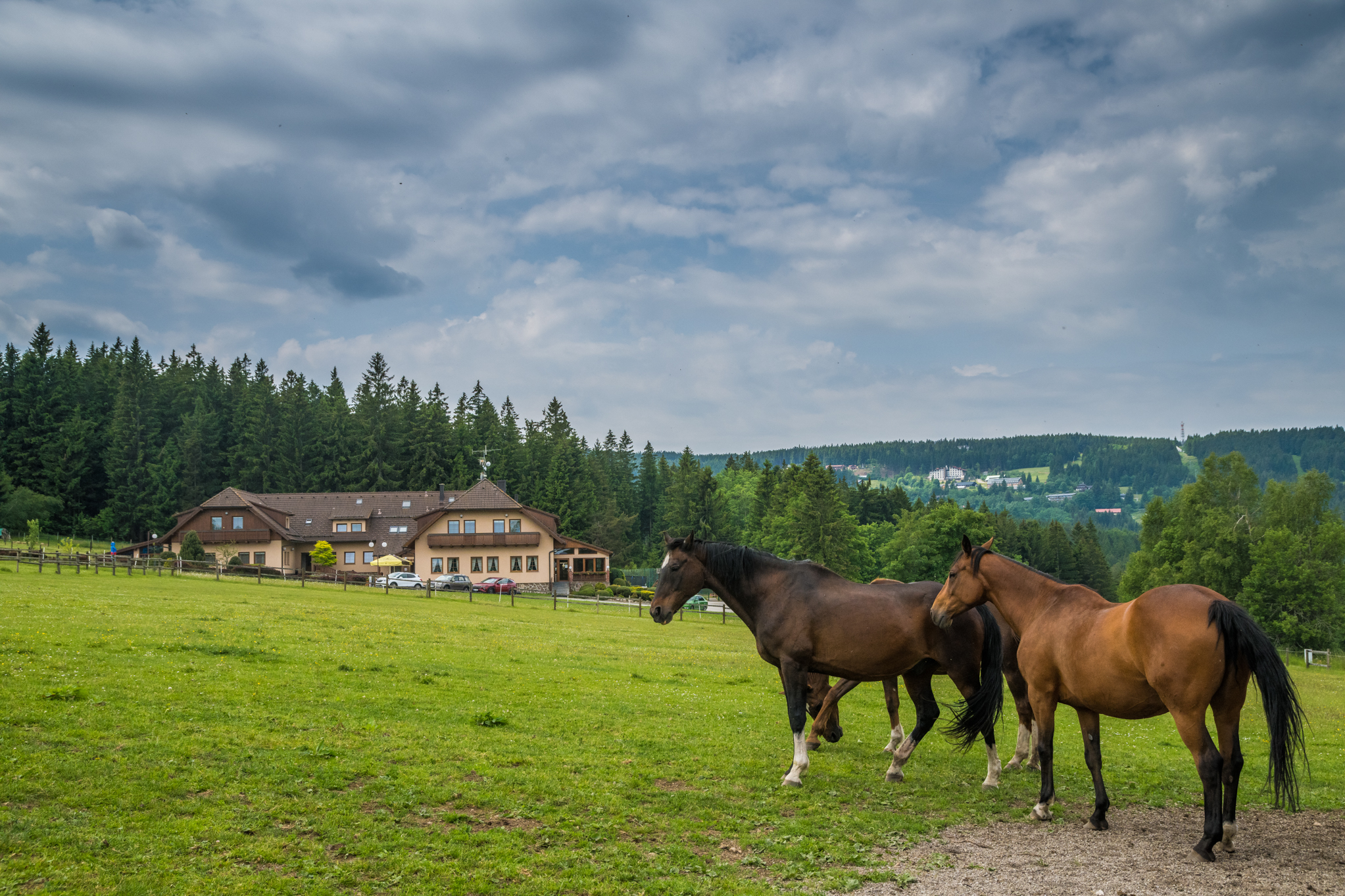 Hotel Elsyn Dvůr foto 4