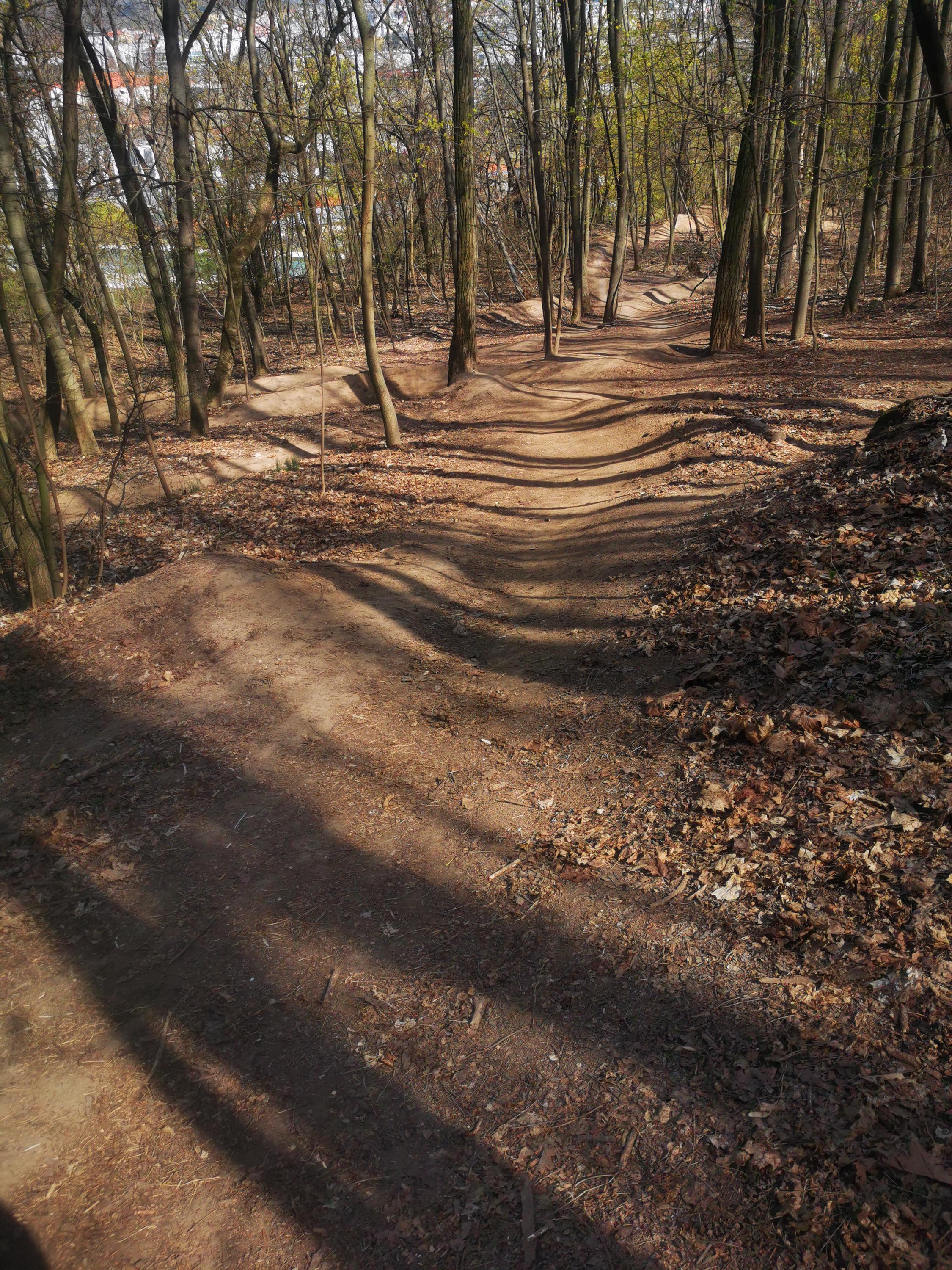 BAN Bike Arena Netro foto 5