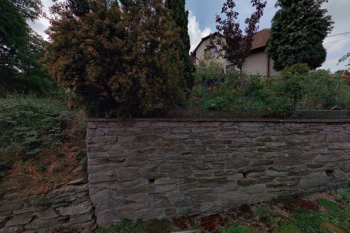 Okrostliny.cz foto 2