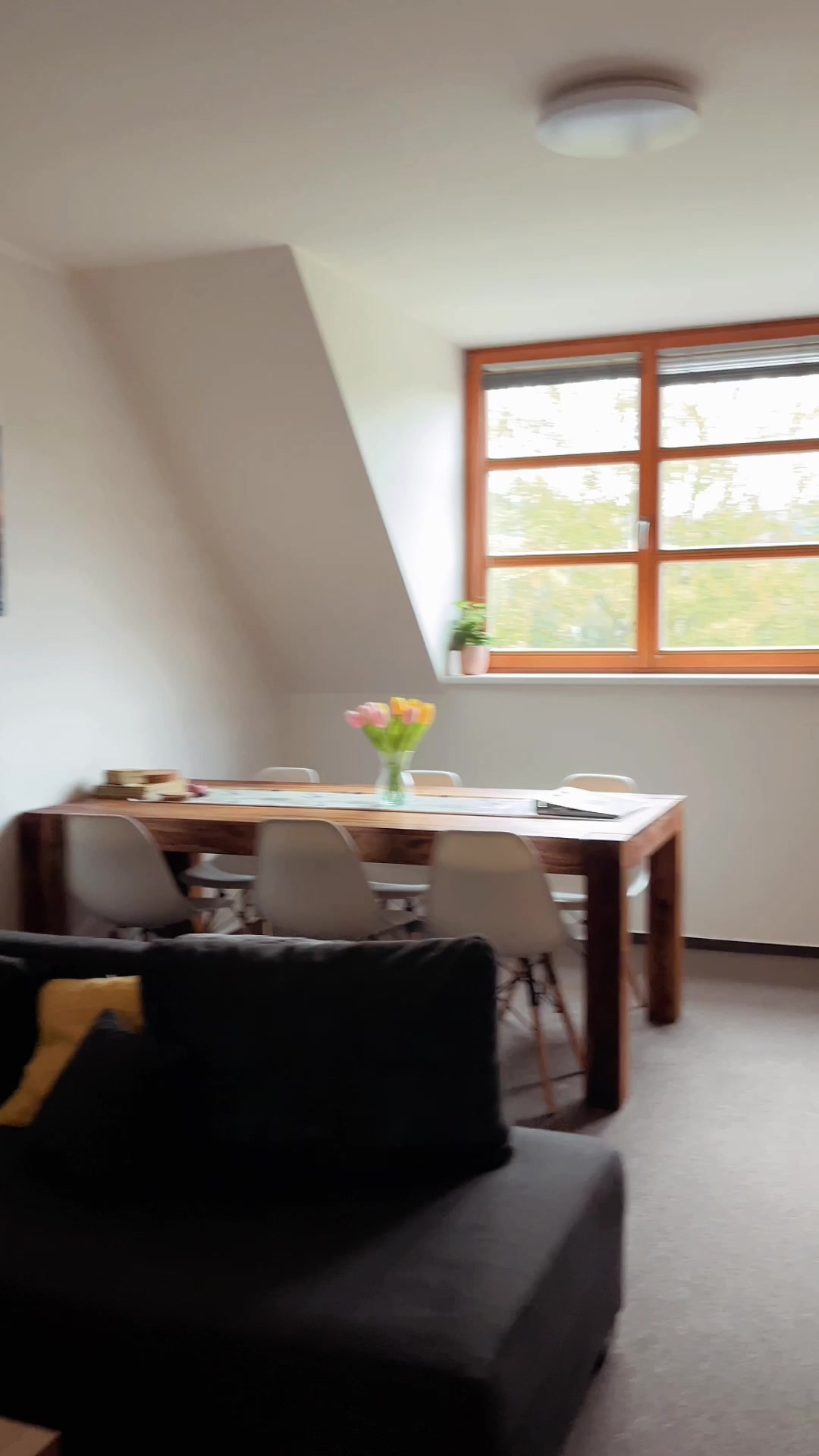 Wellness apartmány Říčky foto 2 (náhled videa)