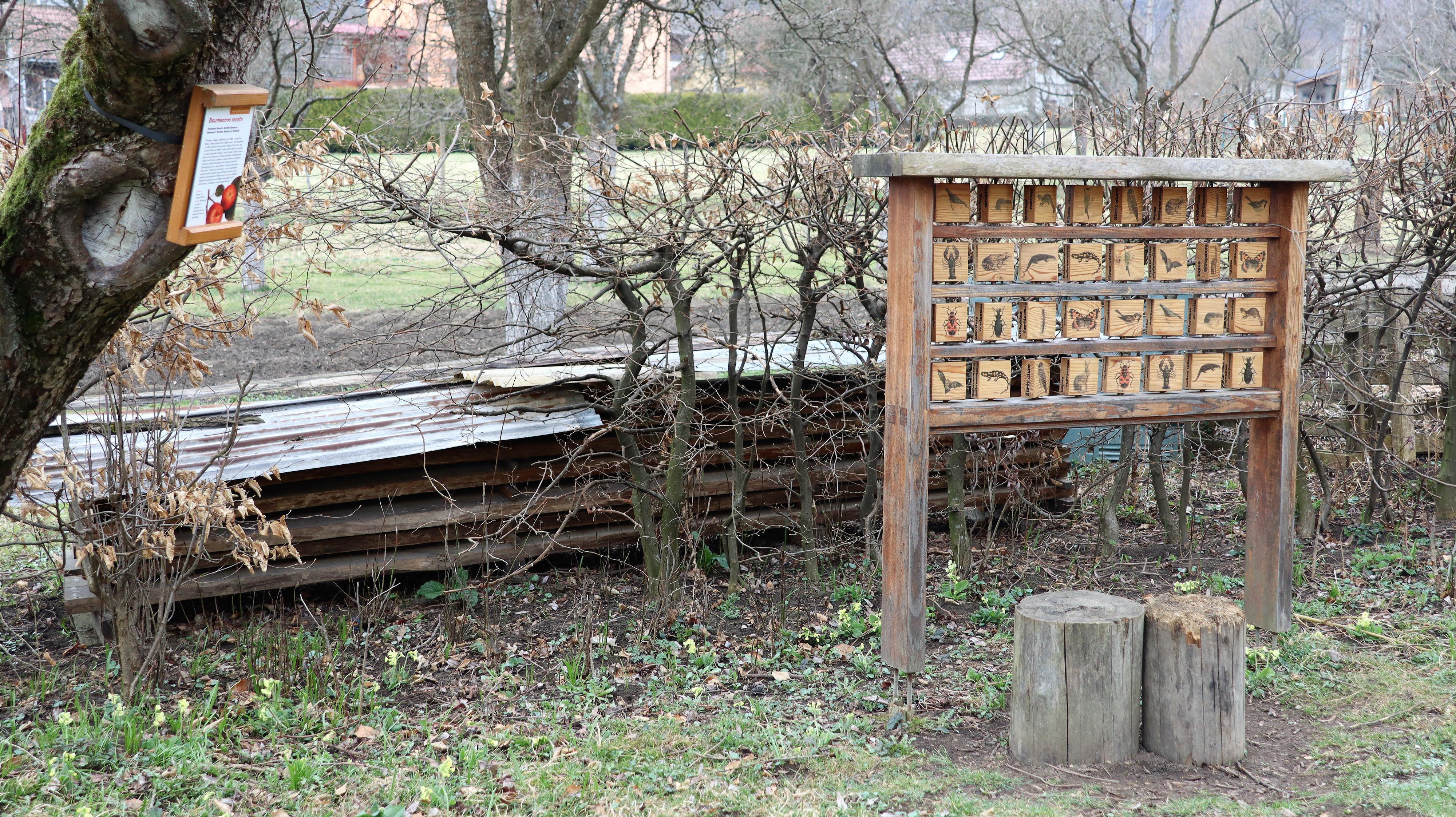 ZO ČSOP Veronica foto 5