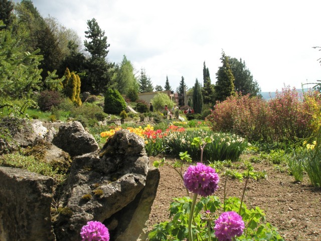 Arboretum - František Chlup