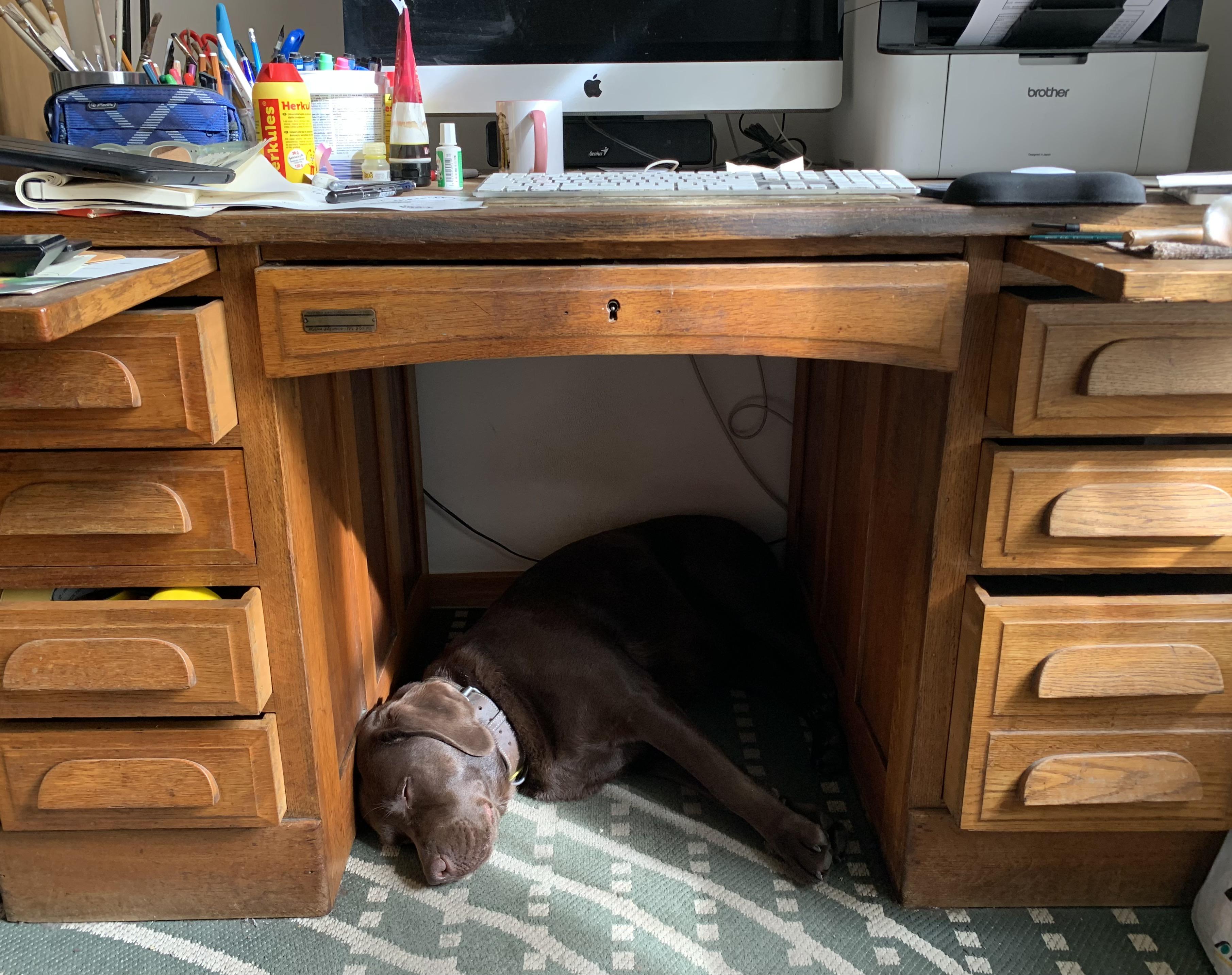 Labradosti - ak. mal. Pavel Beneš foto 6