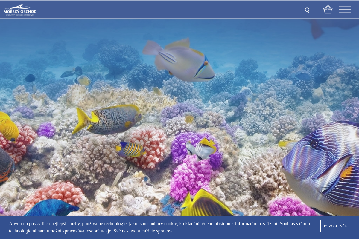 Morskyobchod.cz