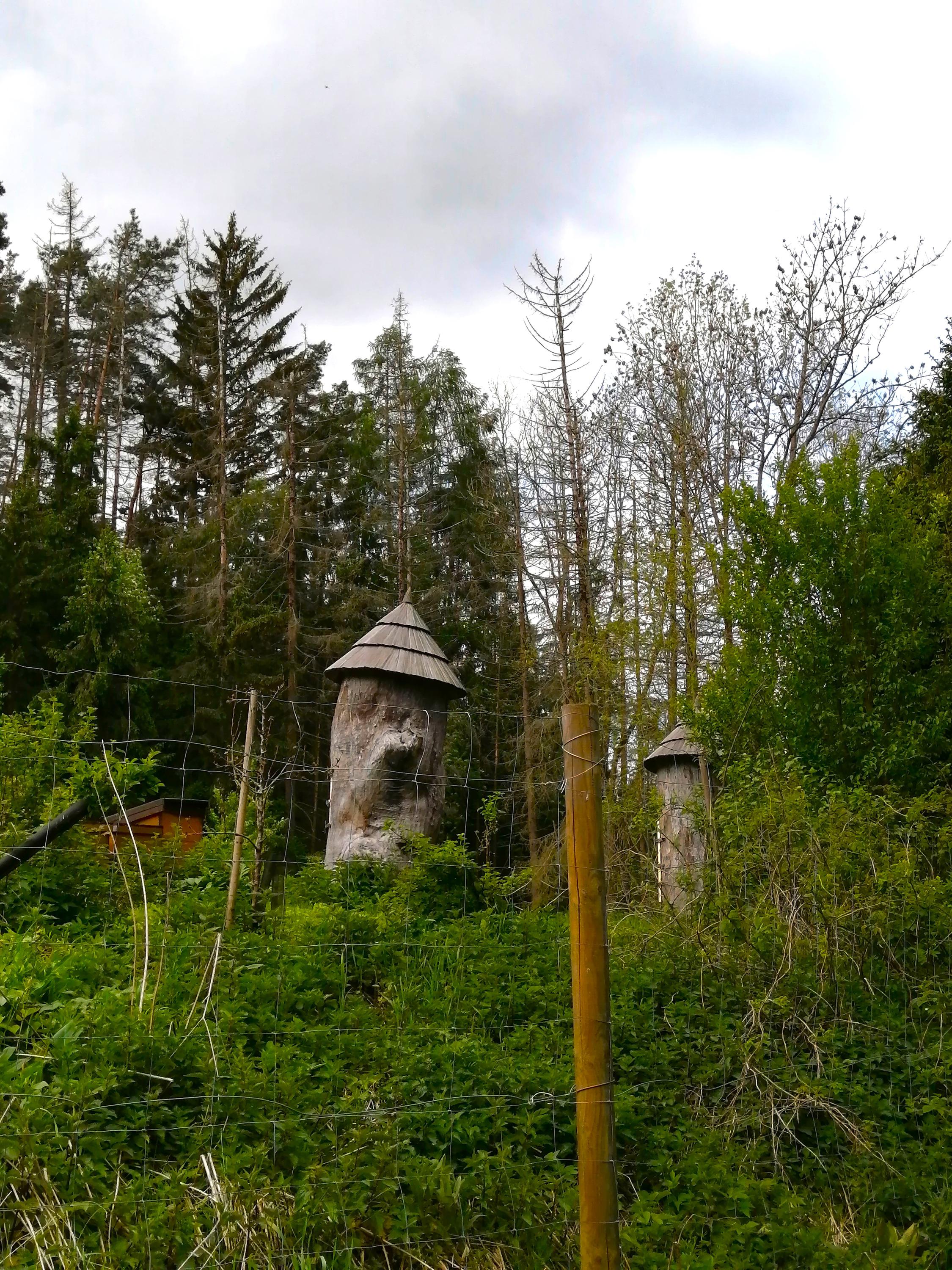 Stodola Ve Žlebě foto 4