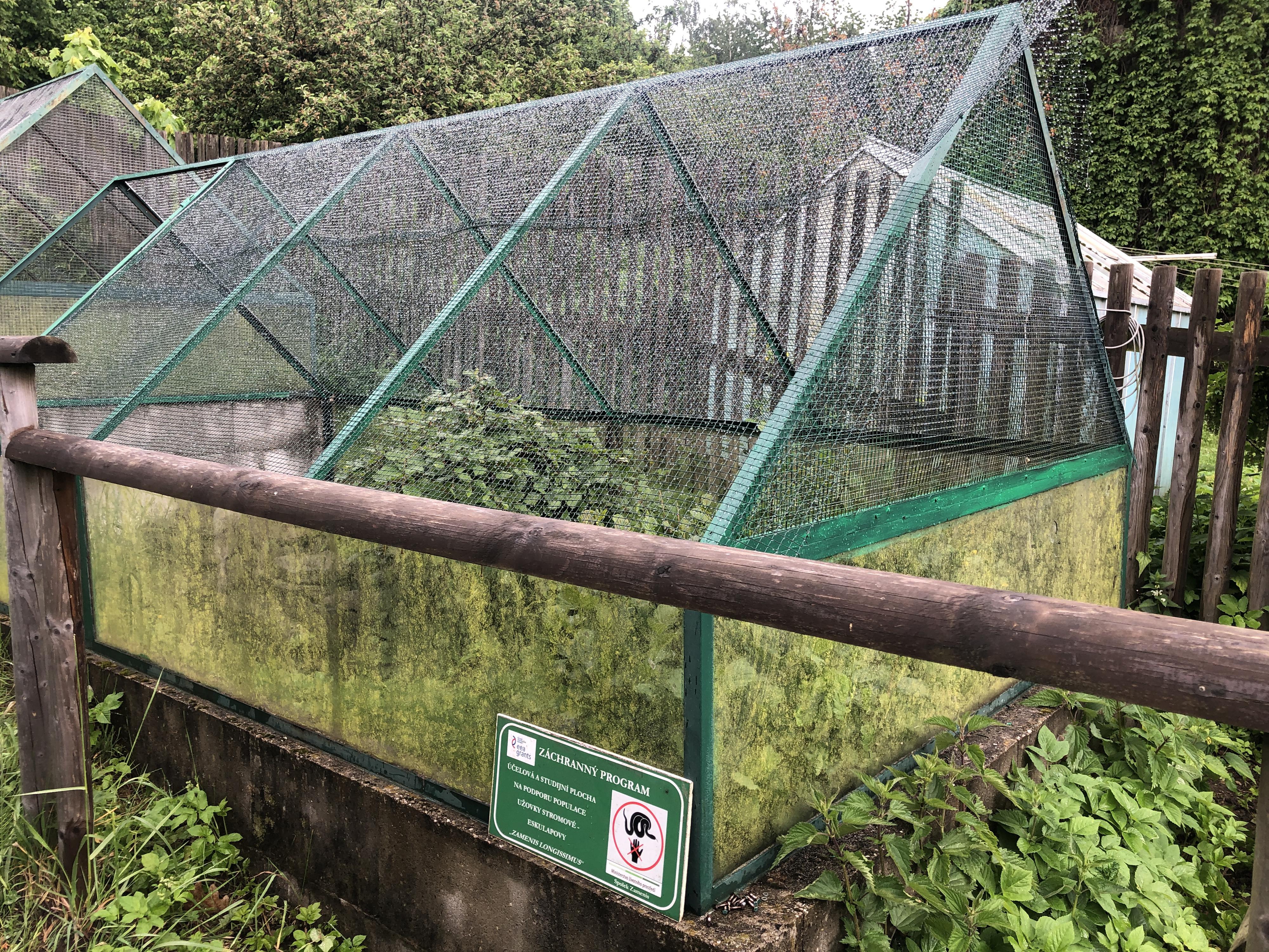 Spolek Zamenis foto 6