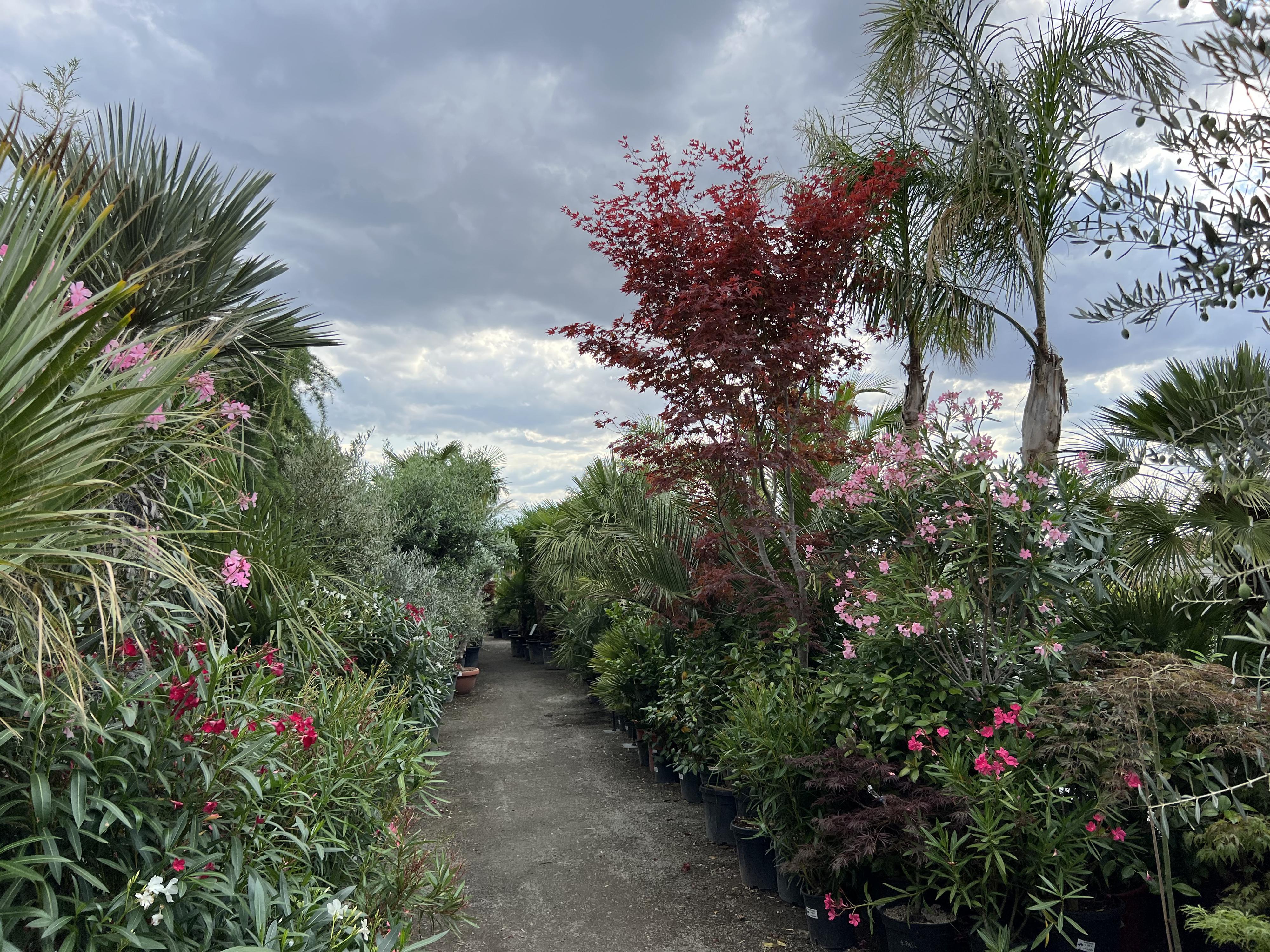 exoticka-zahrada.cz foto 4