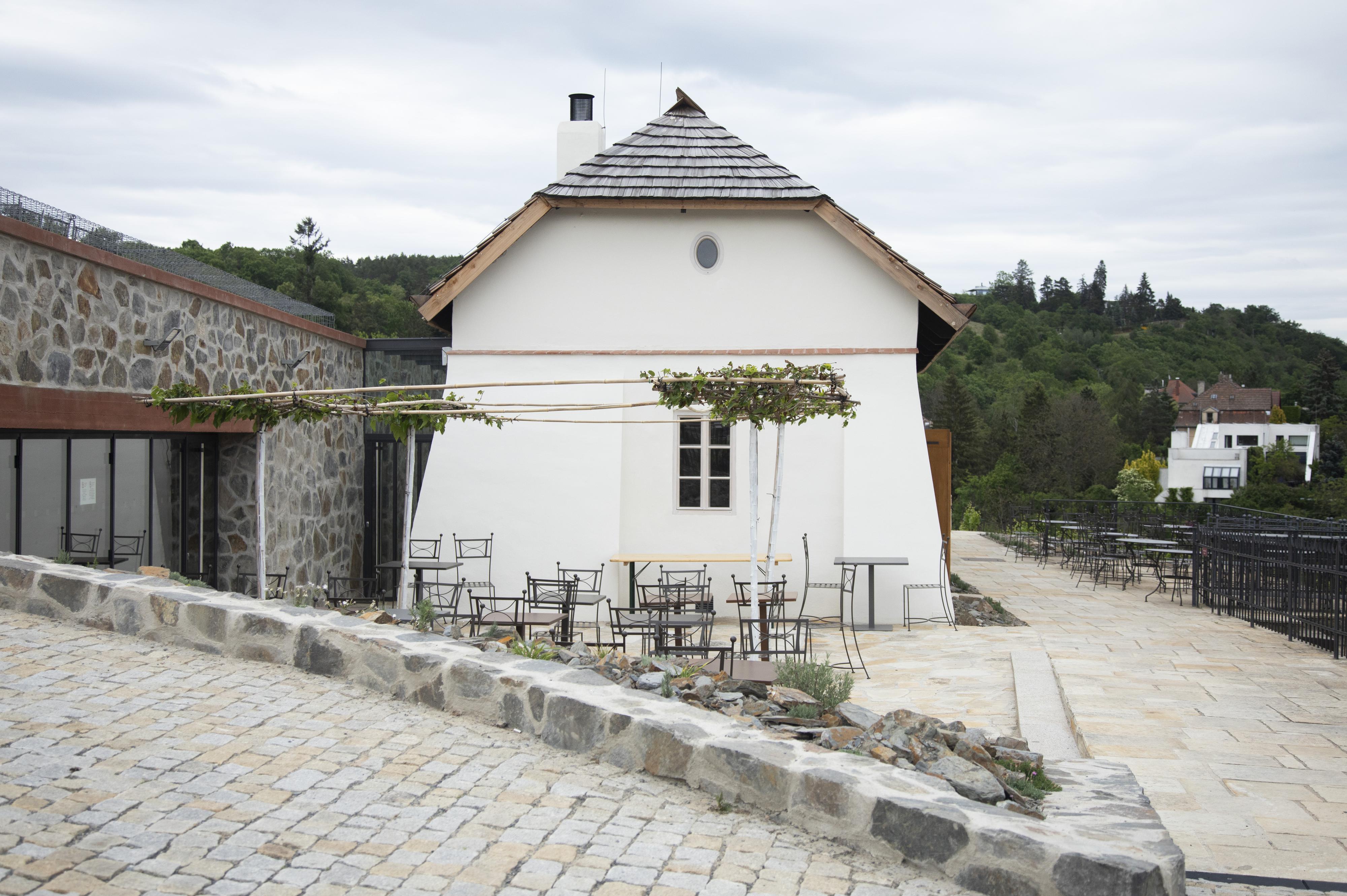 Vinice a vinotéka sv. Kláry - Botanická zahrada Praha