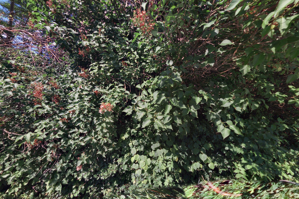 Prohlídky Hradu Houska foto 2