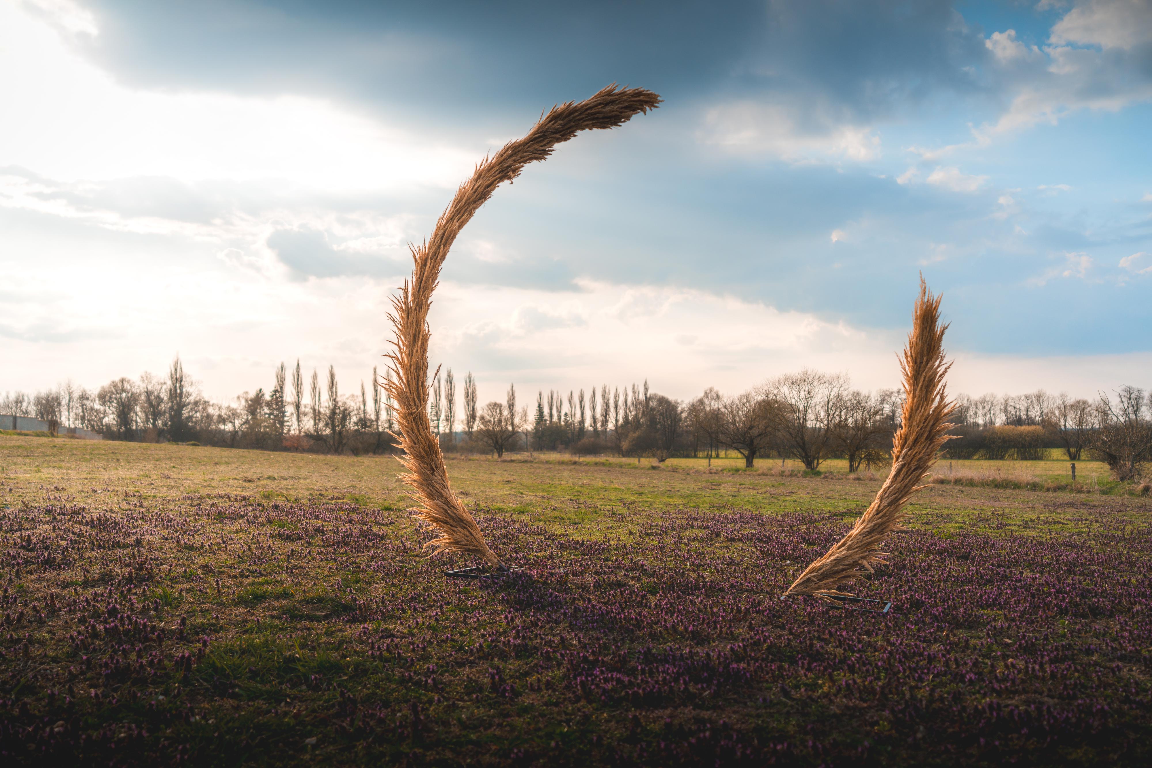Stany za hubičku.cz foto 4