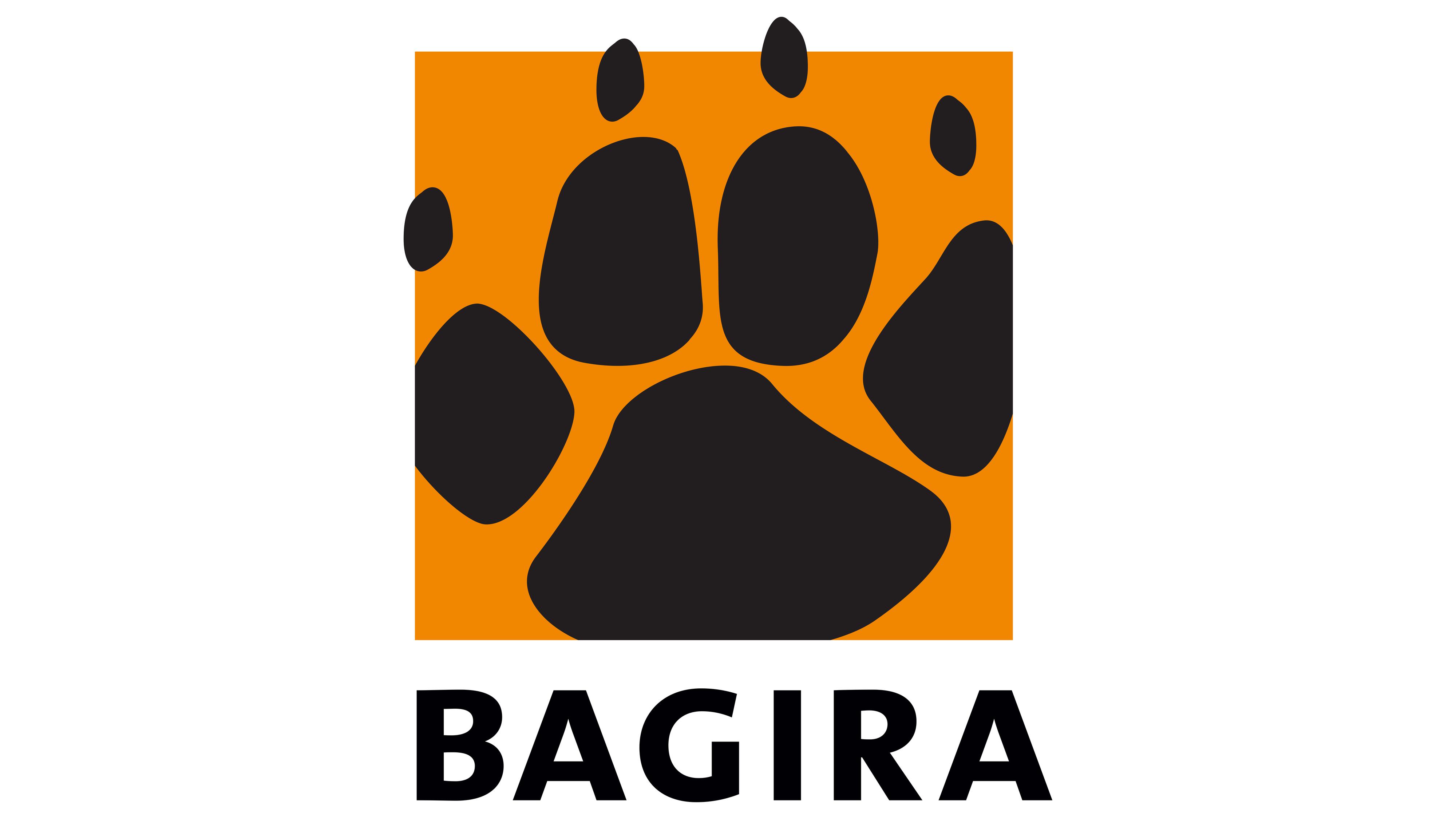 Bagira Tech, s.r.o. foto 2