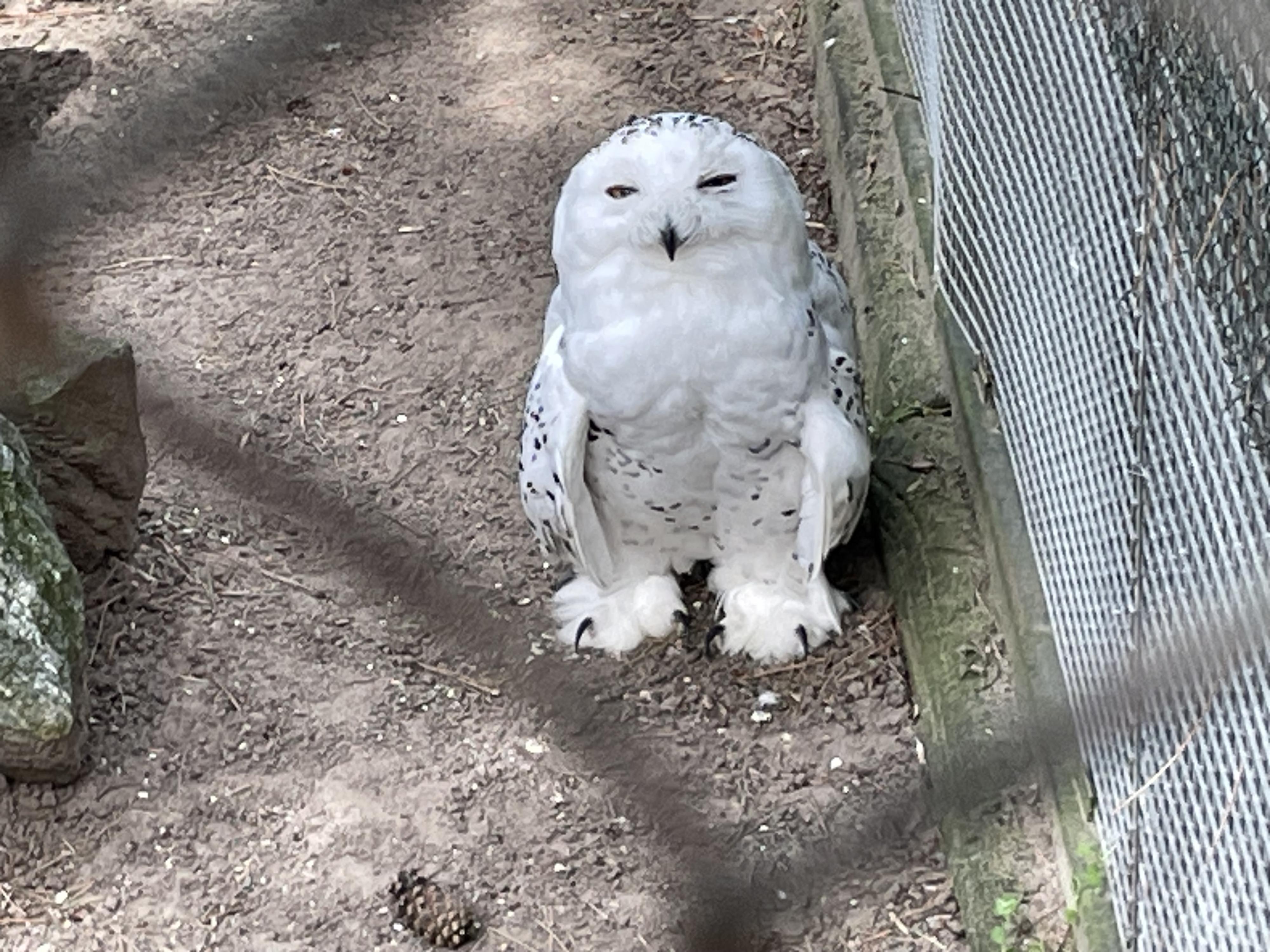 ZOO Chleby, o.p.s. foto 5