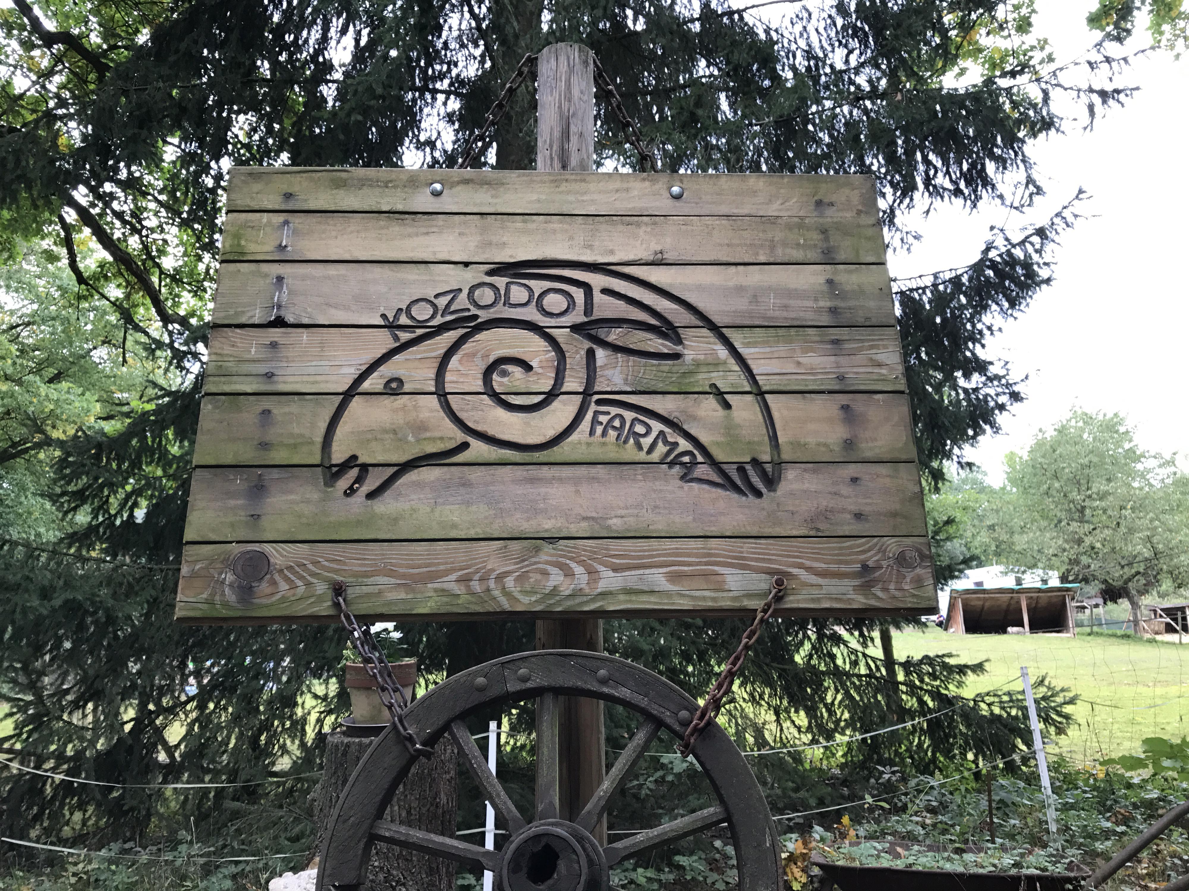 Pavlína Štyndlová foto 2