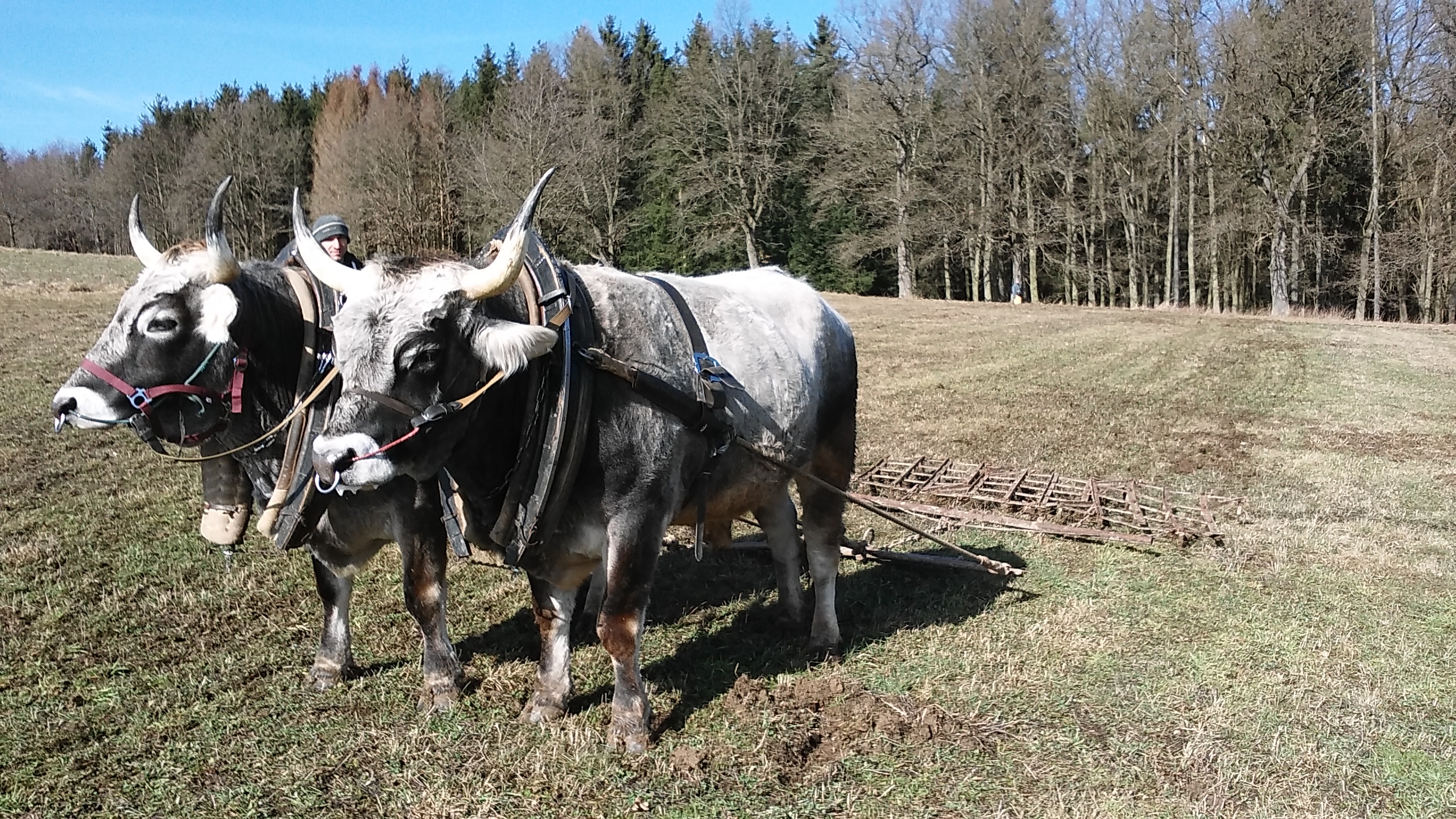Farma Krišnův dvůr foto 3