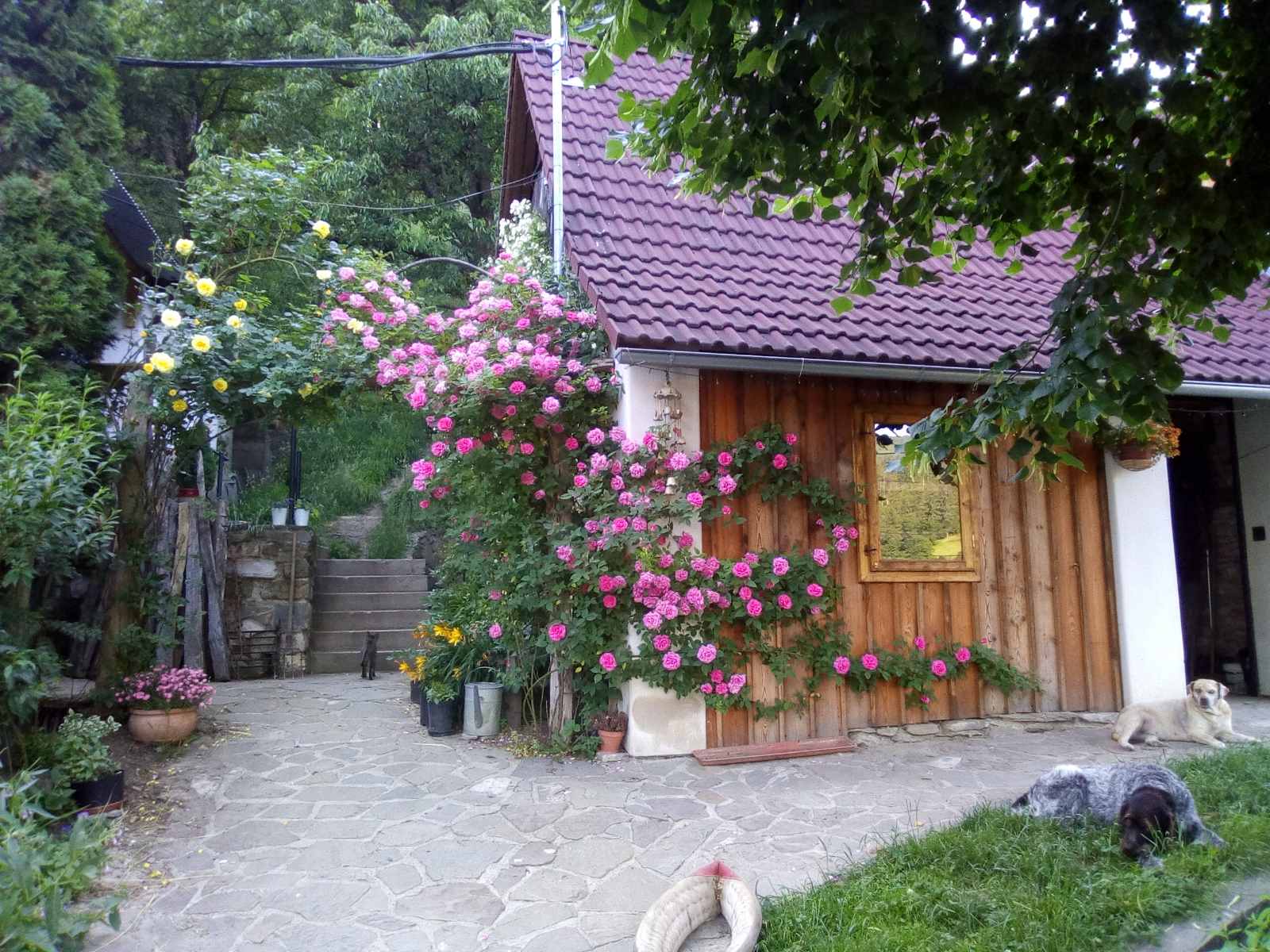 Stodola Svatý Štěpán