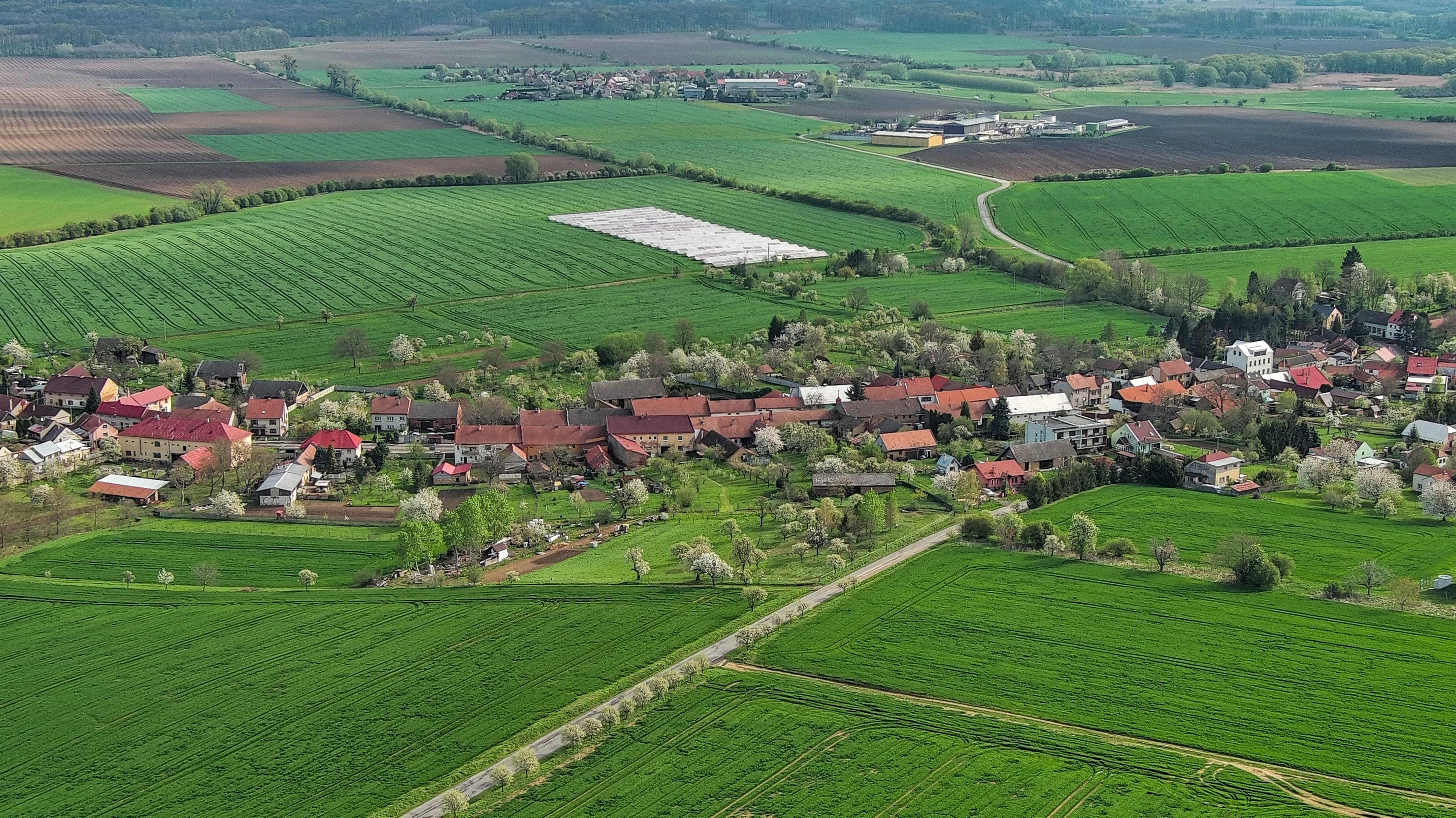 Bařice - Velké Těšany - obecní úřad foto 2