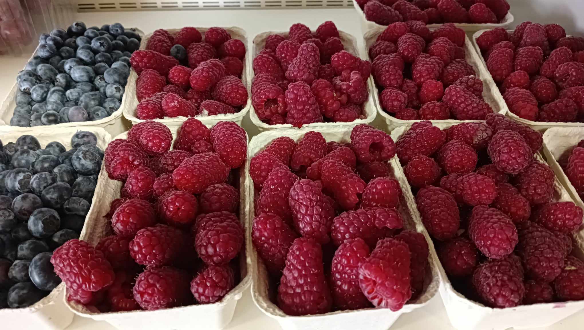 Ovoce Zelenina Školská foto 5