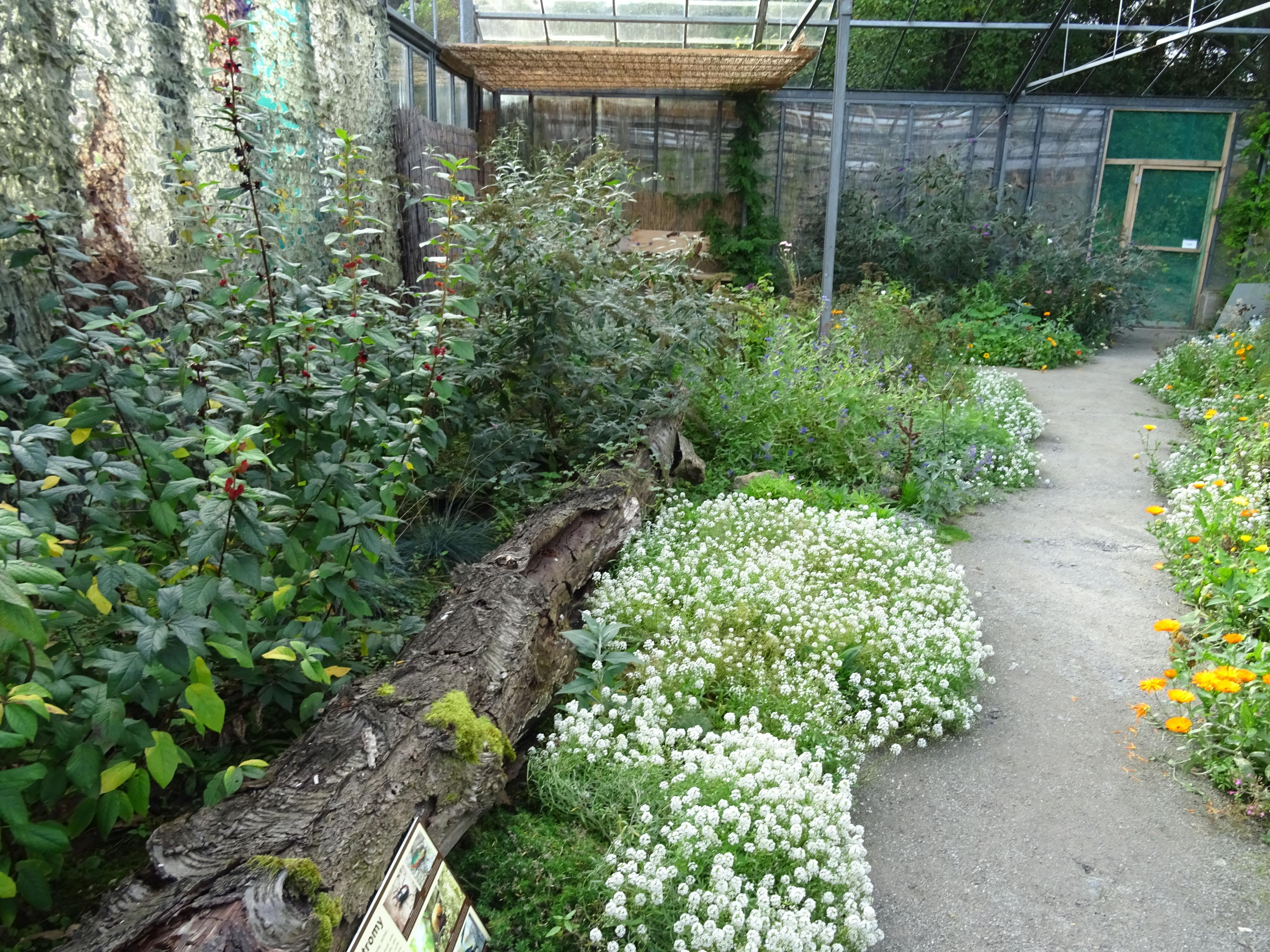 Motýlárium foto 6