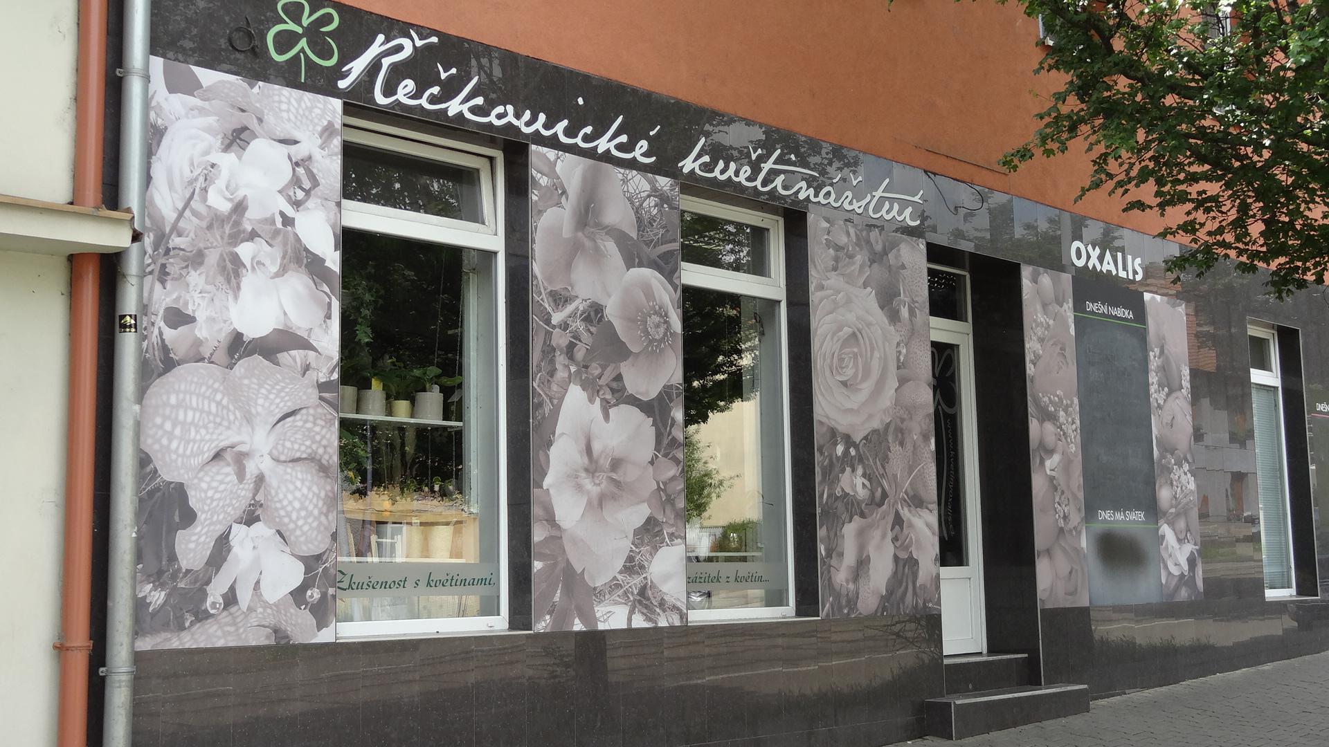 Květinářství Oxalis foto 4