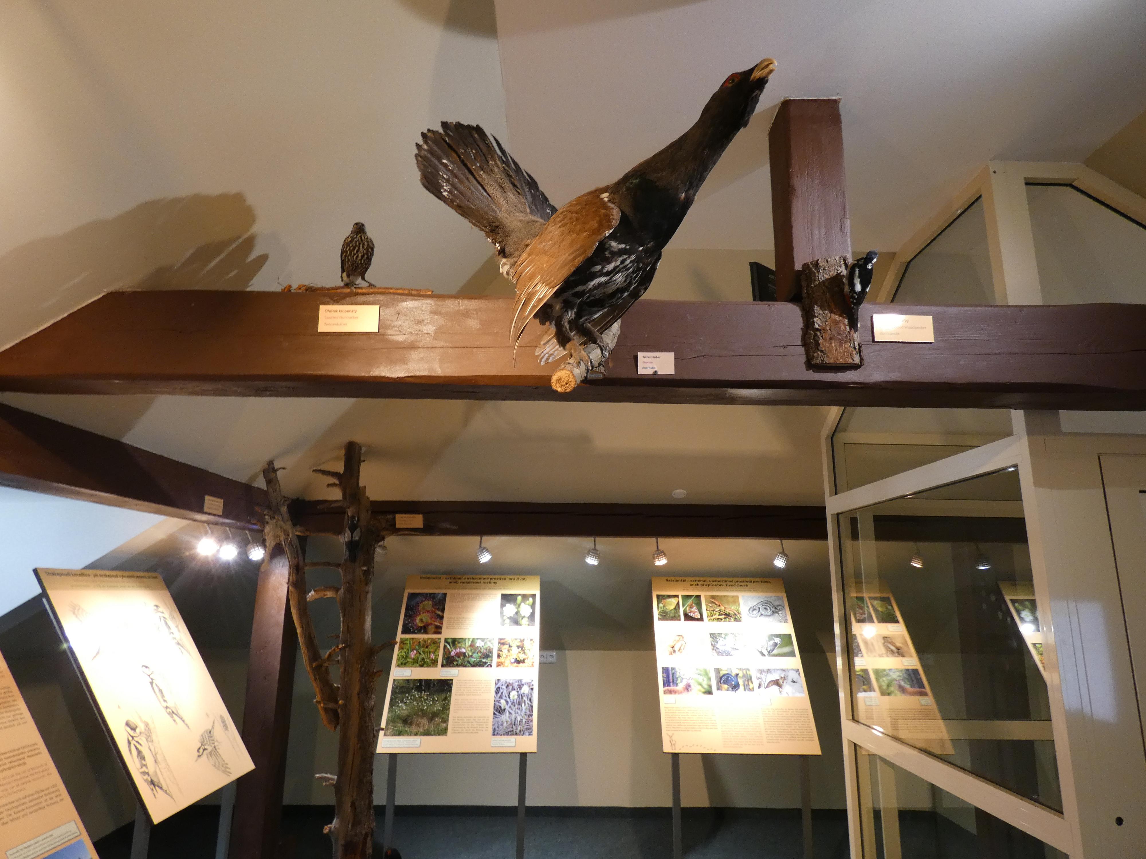 Dům přírody Slavkovského lesa foto 4