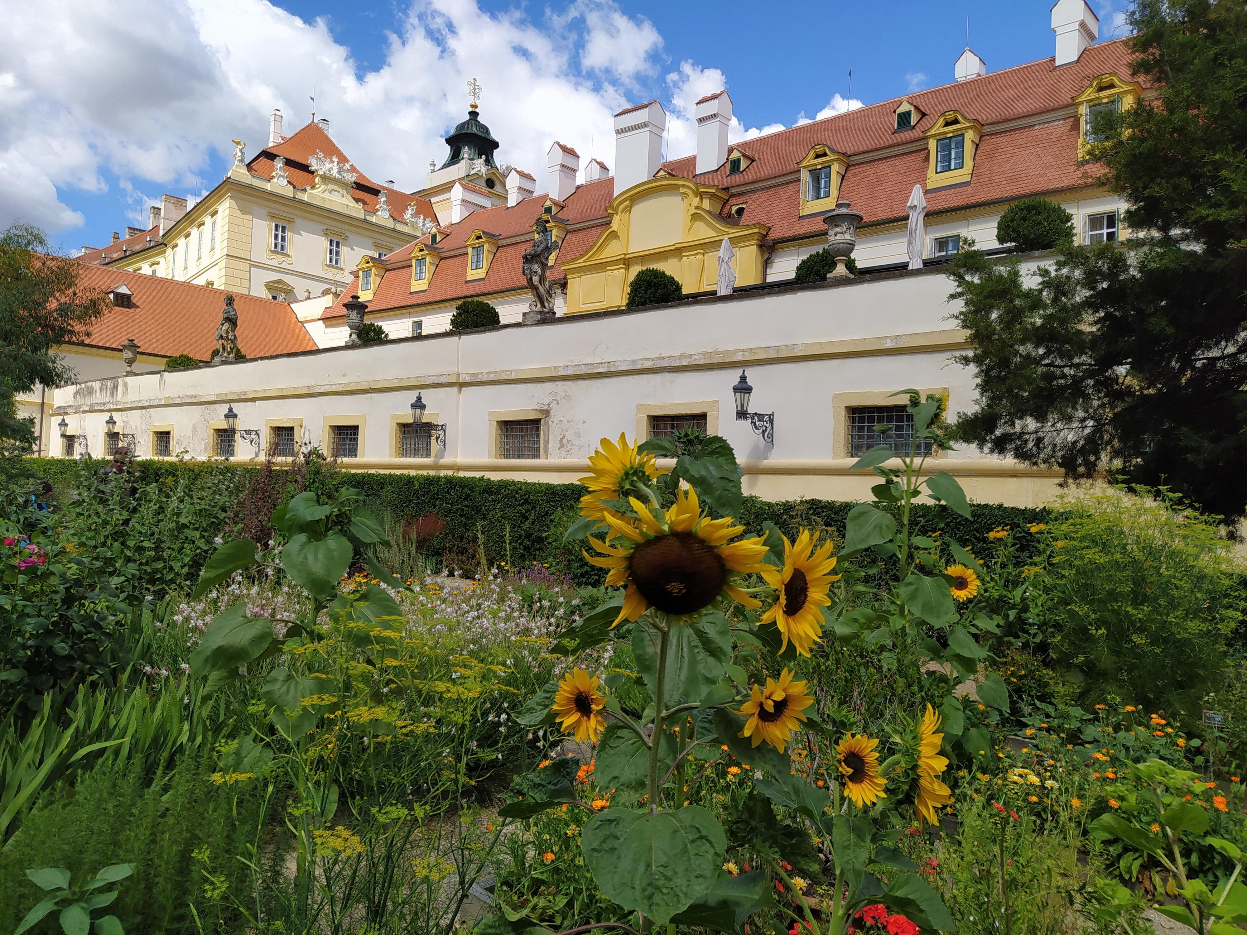 Bylinková zahrada Lu & Tiree Chmelar foto 6