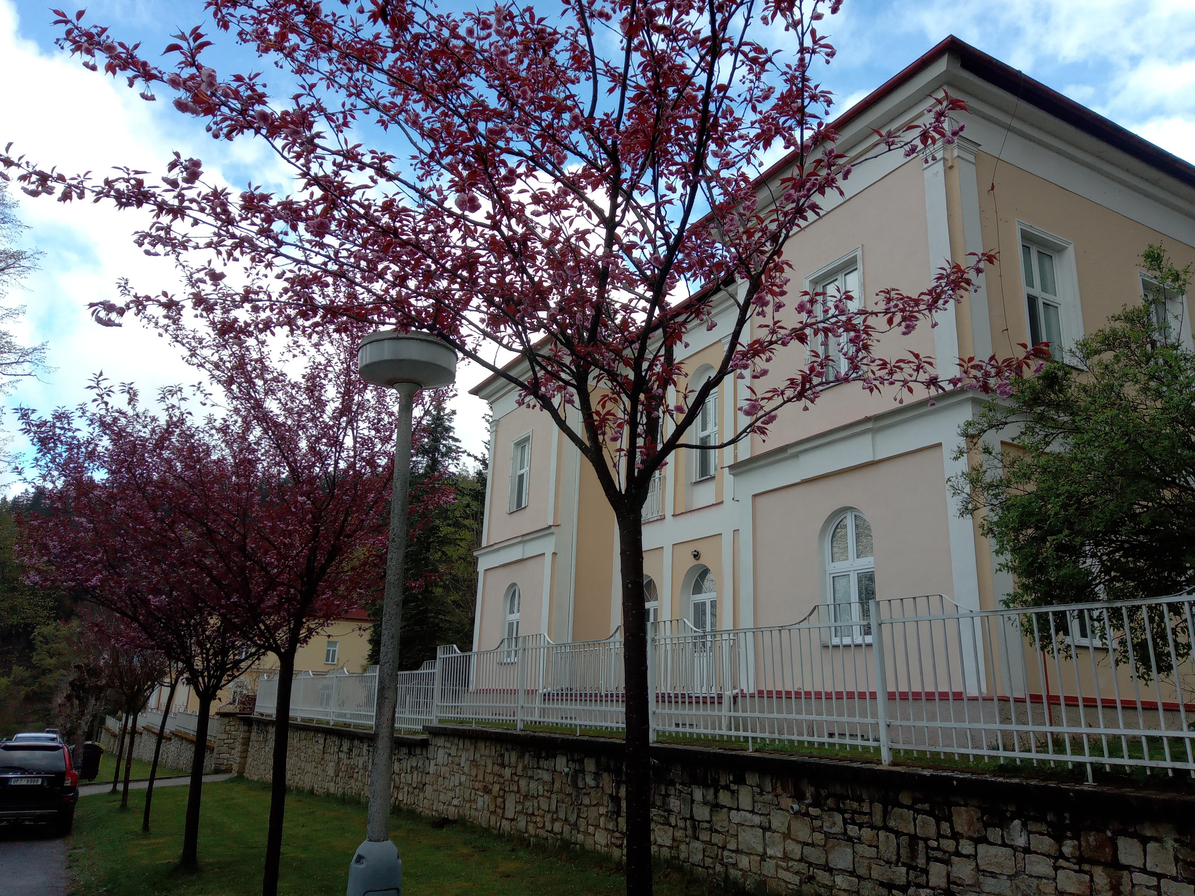 Lázeňský dům Šárka foto 3