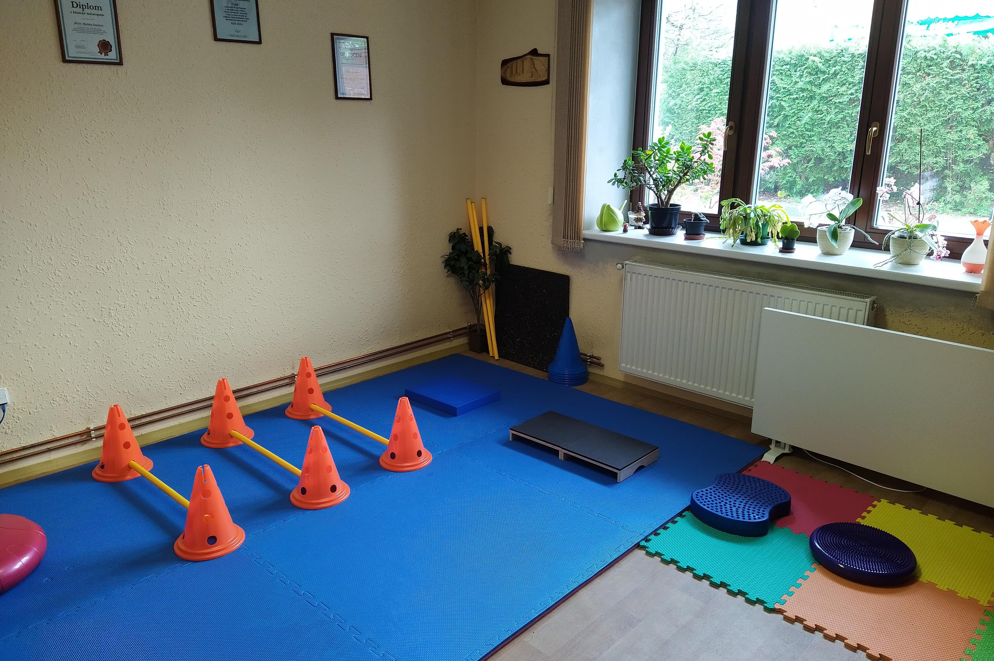 Veterinární rehabilitace a fyzioterapie Příbor