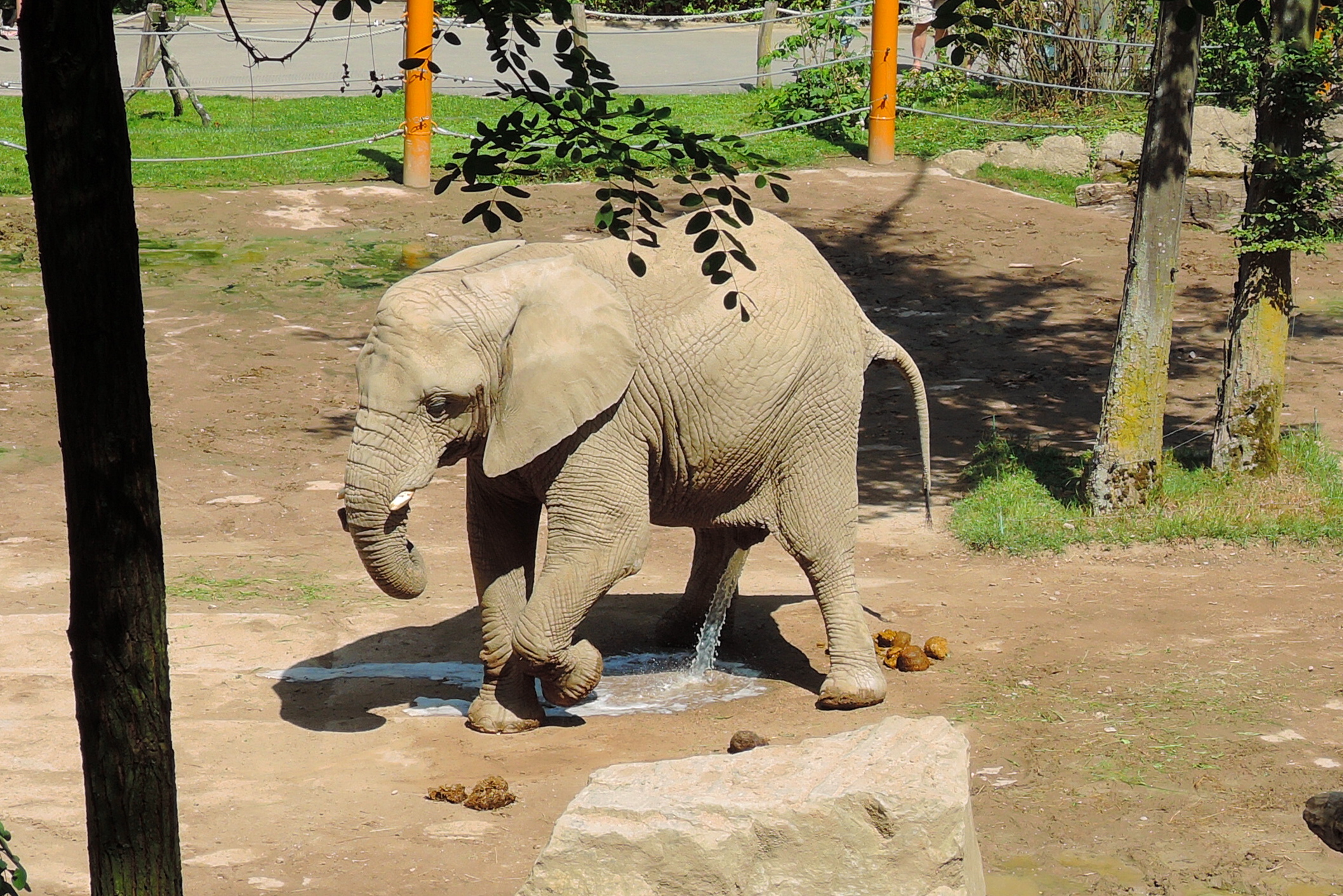 Zoo a zámek Zlín - Lešná foto 6