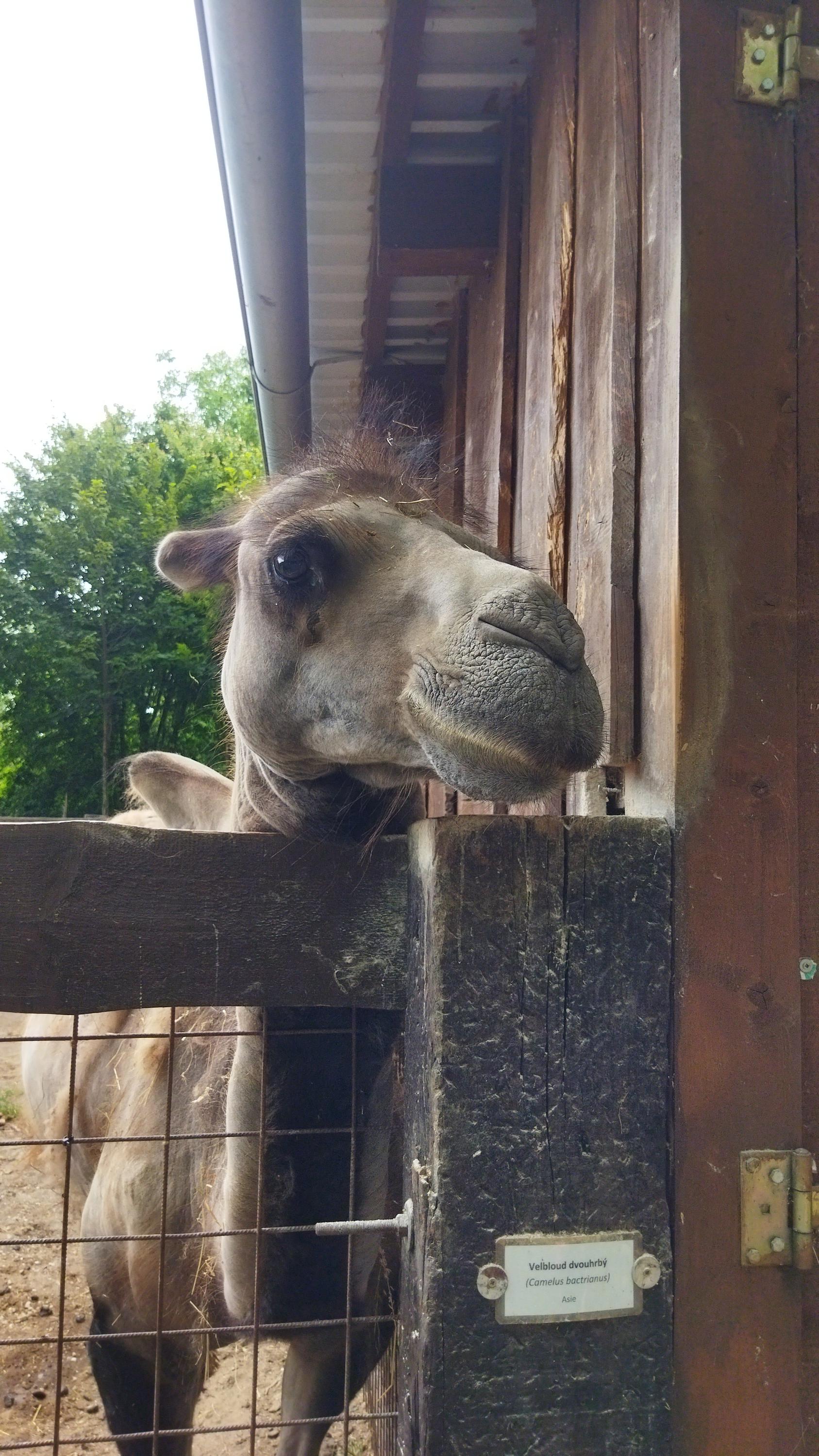 Zoo Sedlec foto 2