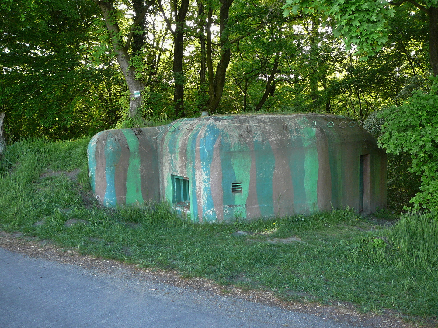 Muzeum lehkého opevnění na Pohansku foto 4