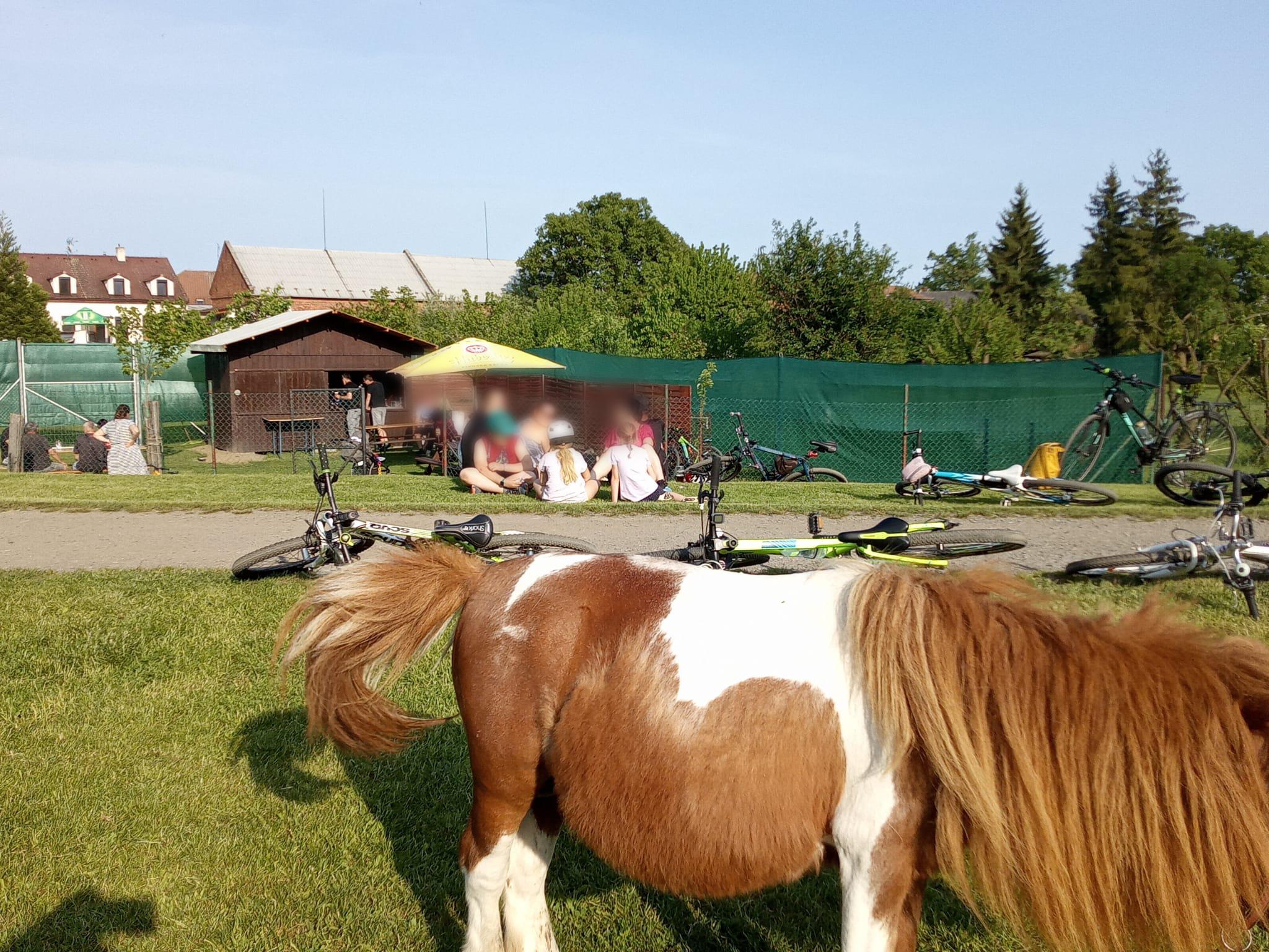 Přístaviště U Surfaře foto 4