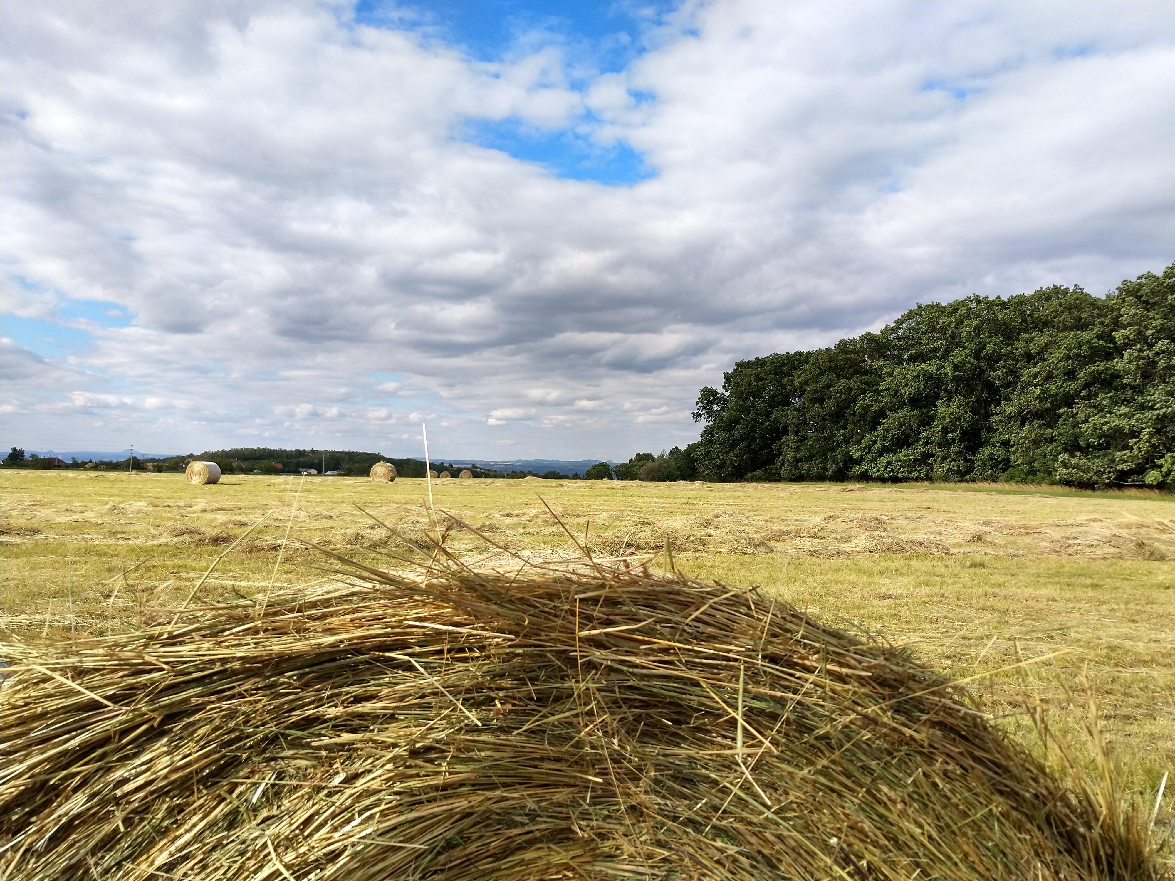 Kozí BIO farma Dolínek
