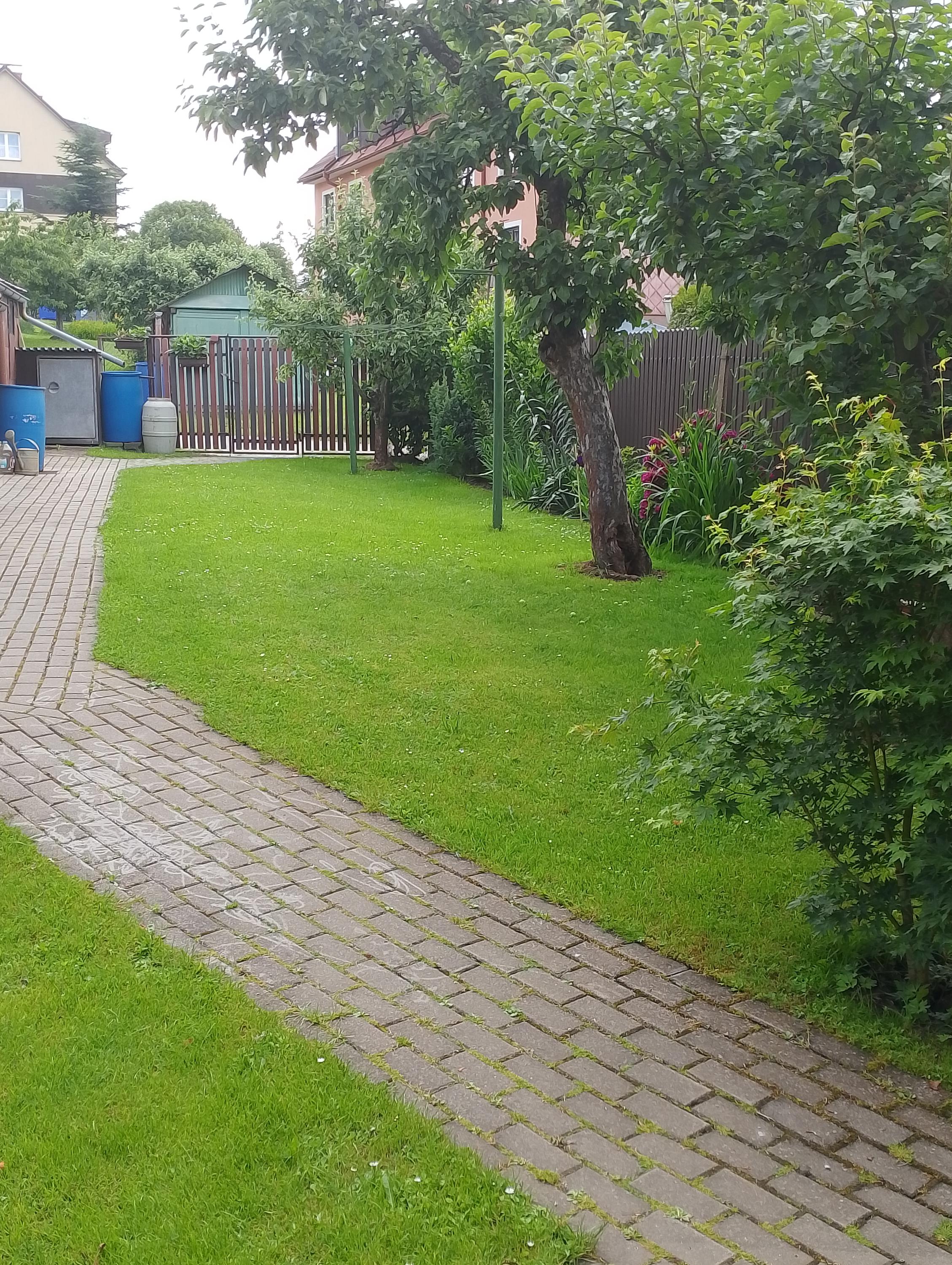 Ubytování Gajdoš Frymburk 6 foto 4
