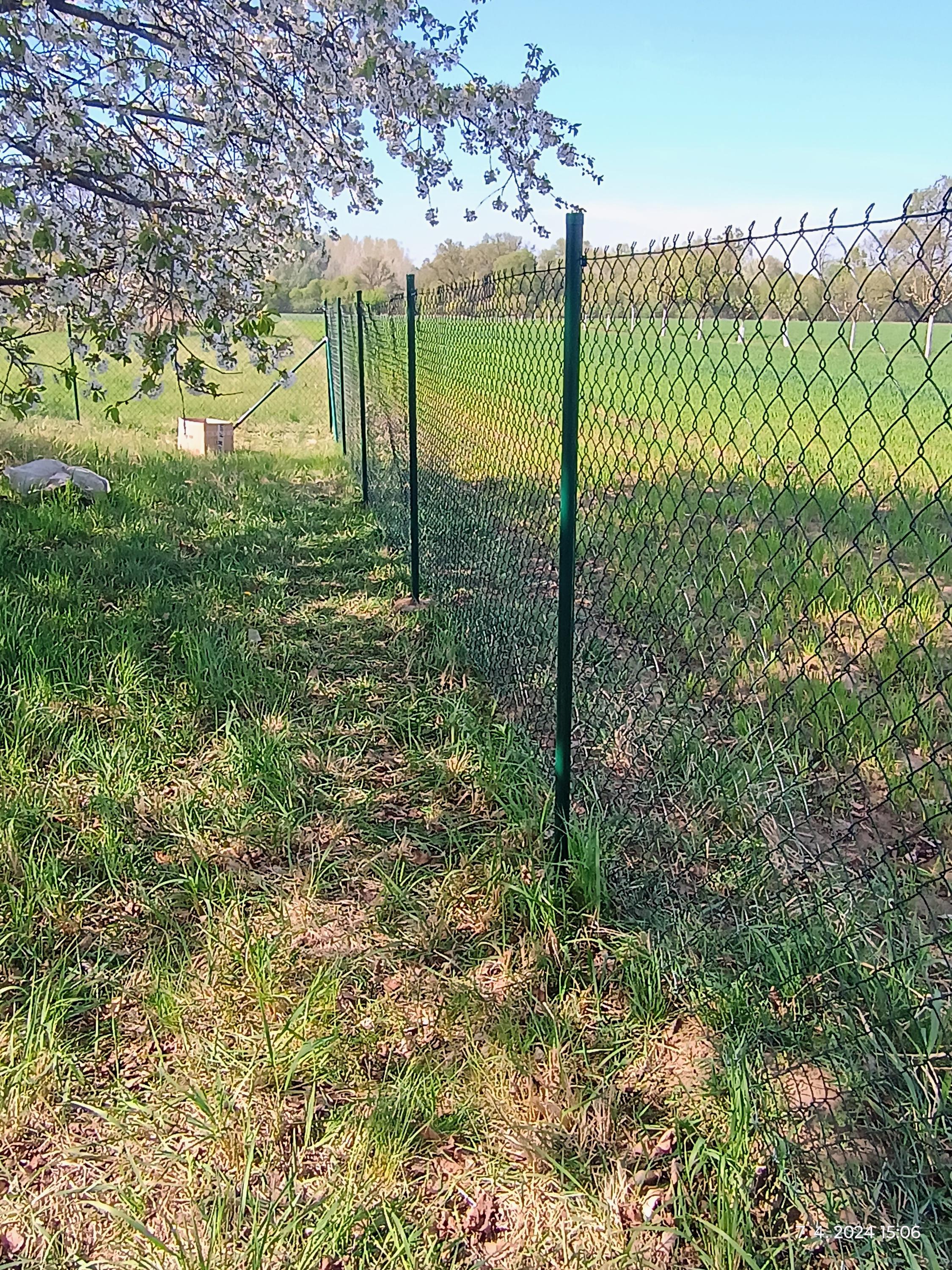 Hodinový manžel JMK foto 6