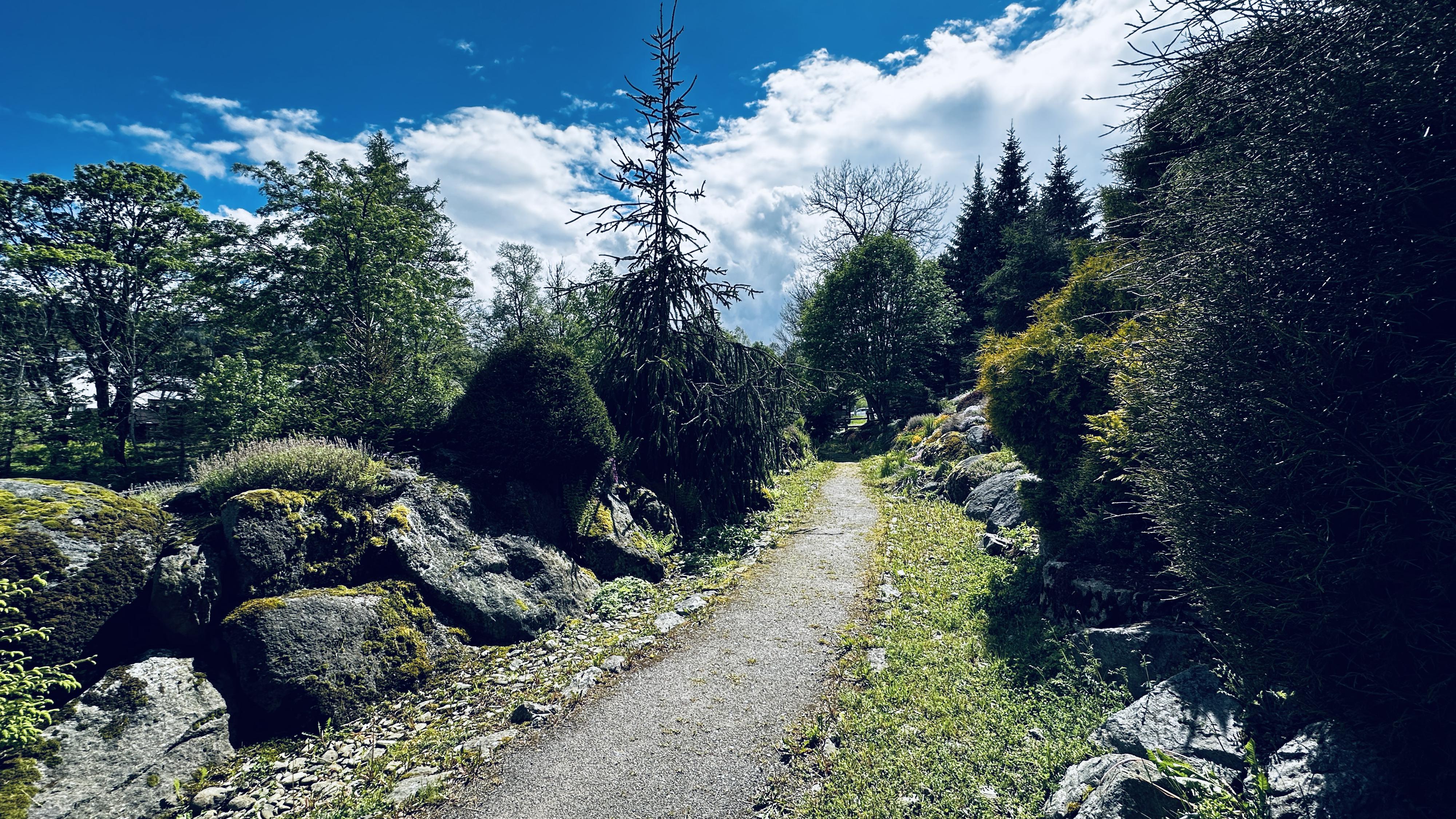 Horská botanická zahrada foto 3