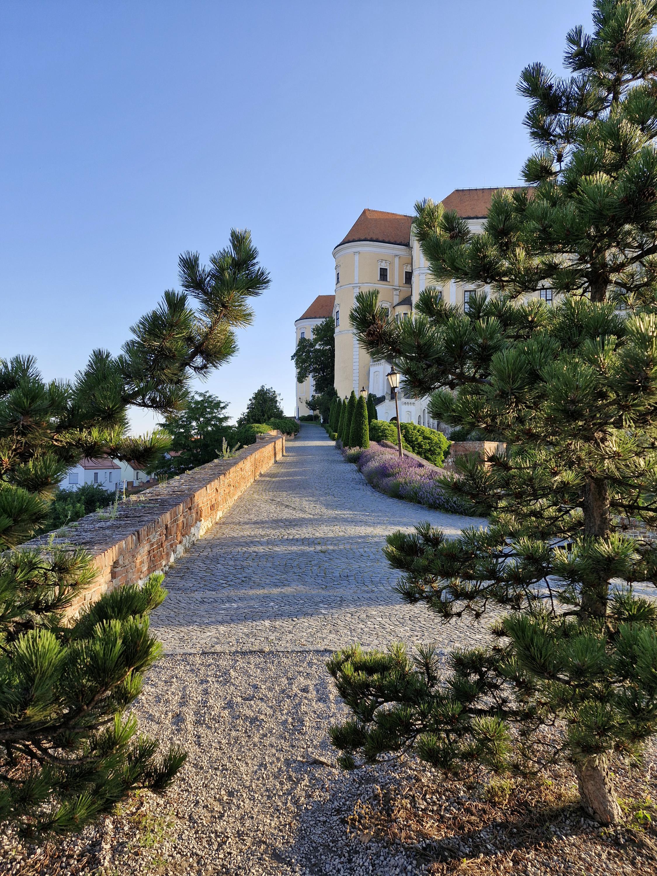Odborná knihovna Regionálního muzea v Mikulově foto 3