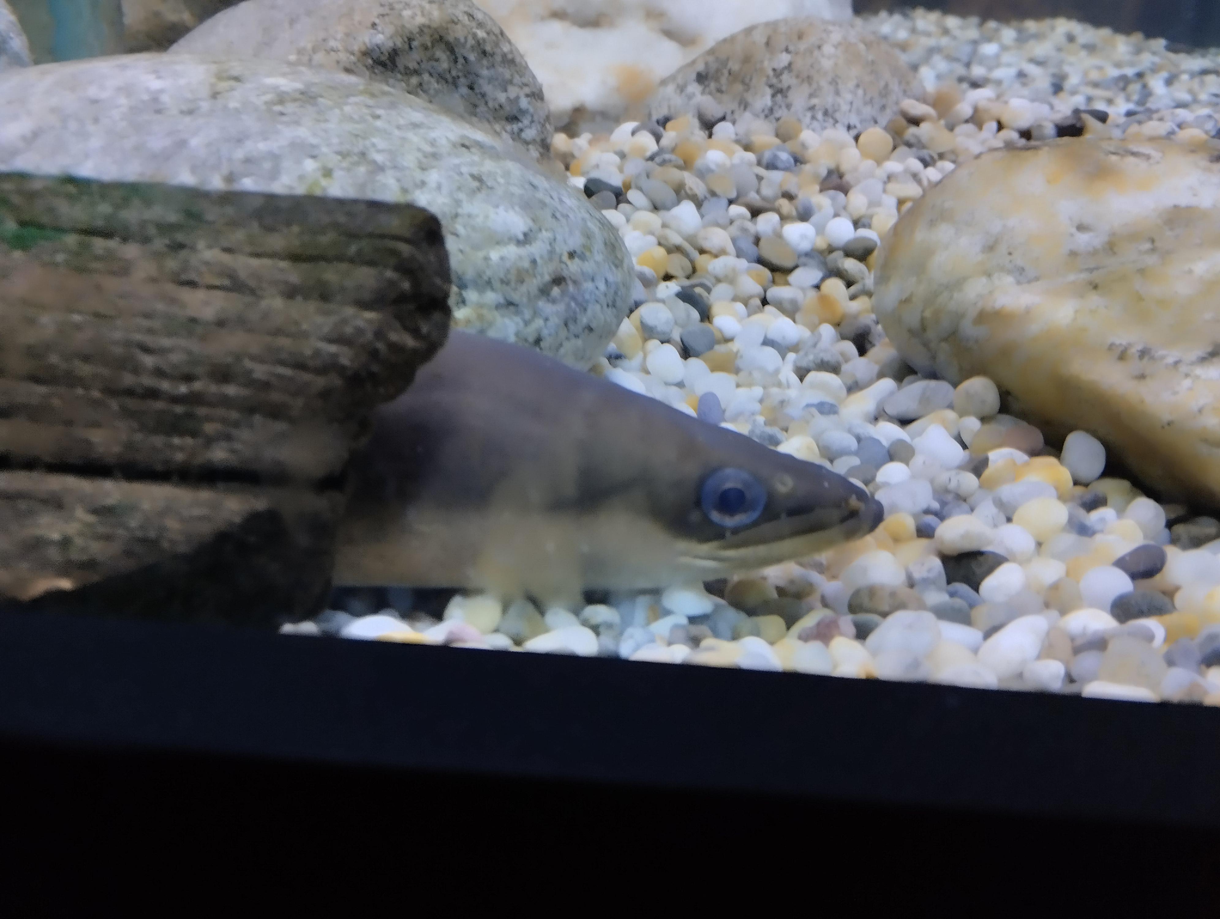 Svět pod hladinou foto 5