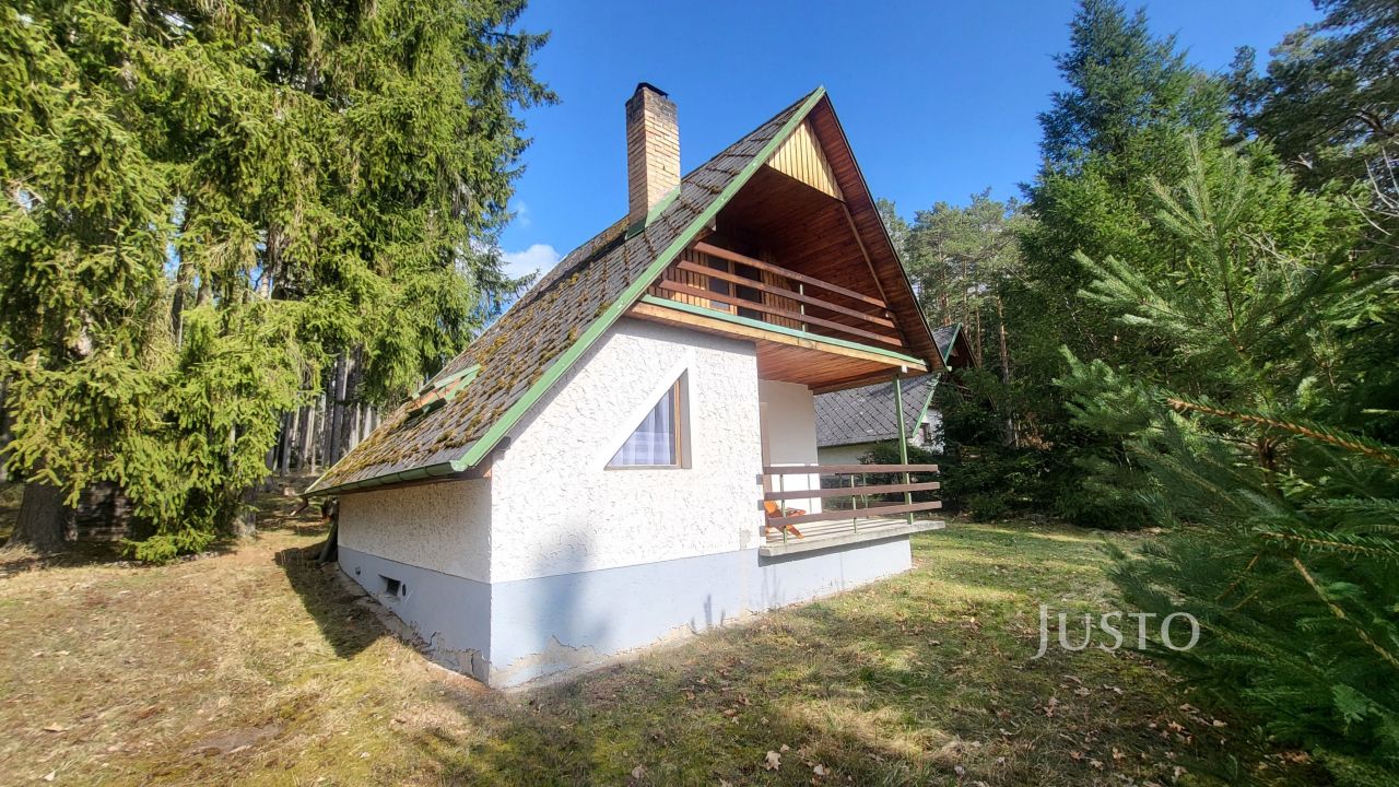 Ilona Vazačová JUSTO foto 3