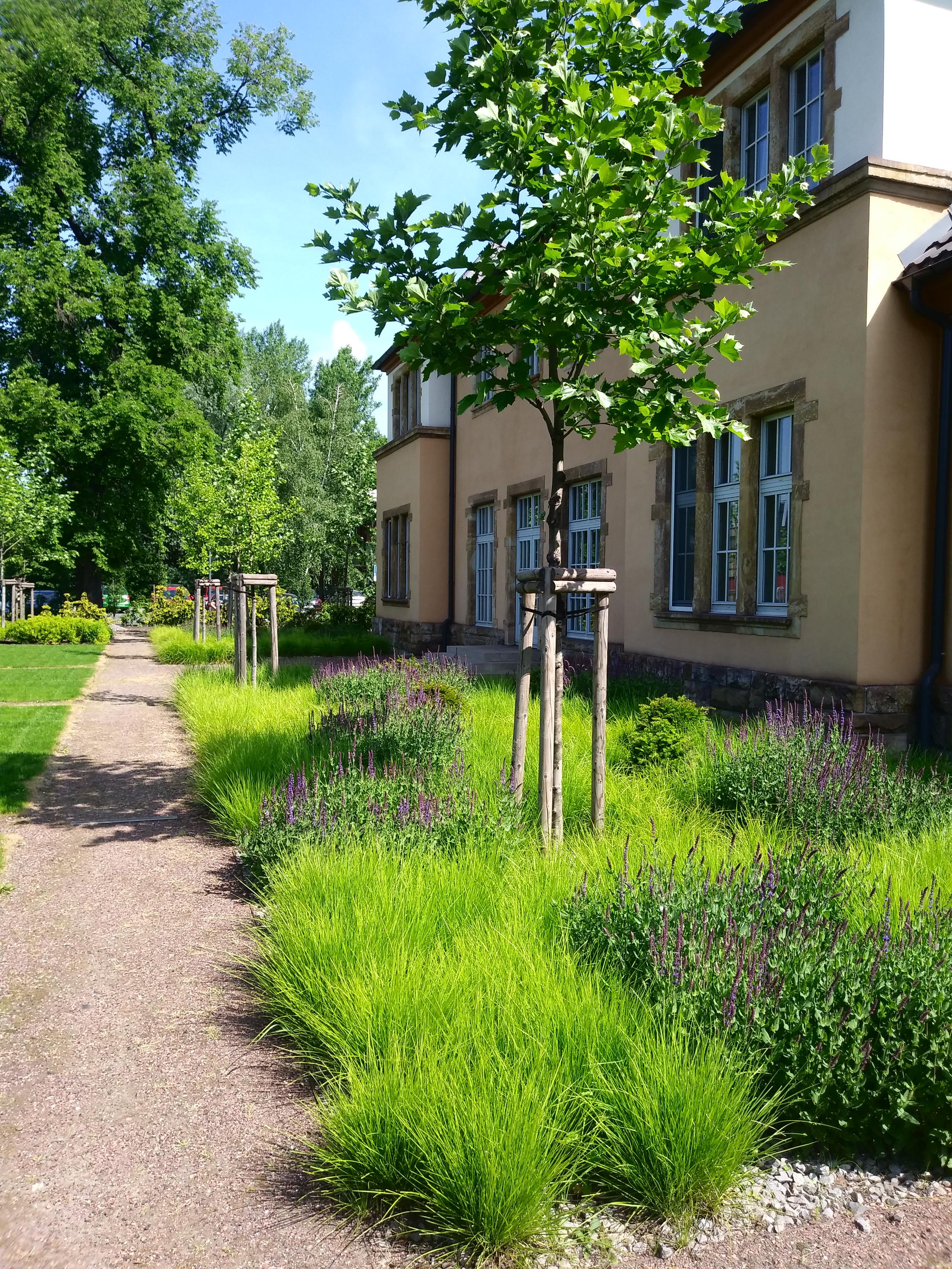 SVOBODNÉ ZAHRADY KLUS, s.r.o. foto 2