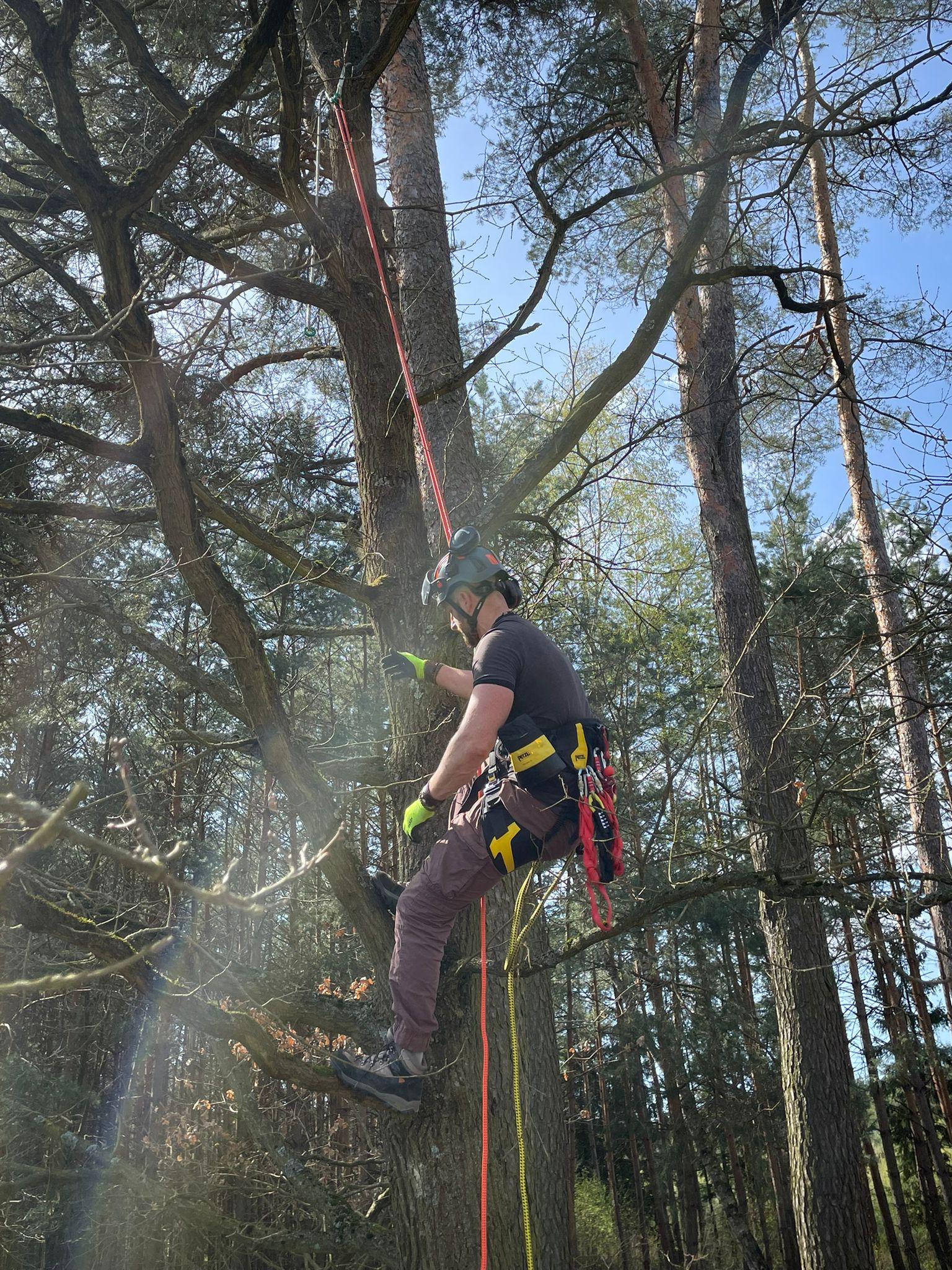 David Bárta Výškové práce foto 2